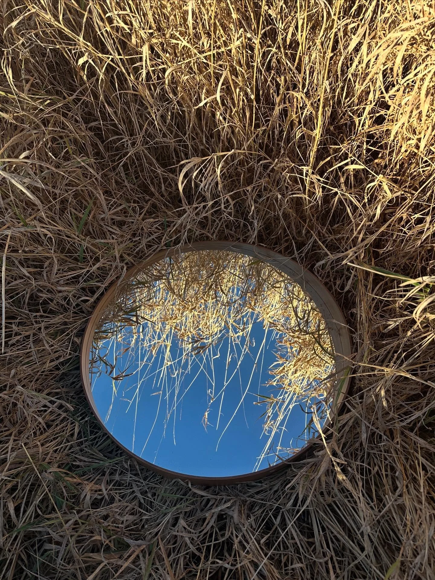 Happy Samhain from the farm as we shift between seasons, turning towards the darker nights and new beginnings. It&rsquo;s a time of pause to grieve what could have been, to love what was and was lost, to turn towards what comes next. This year has be