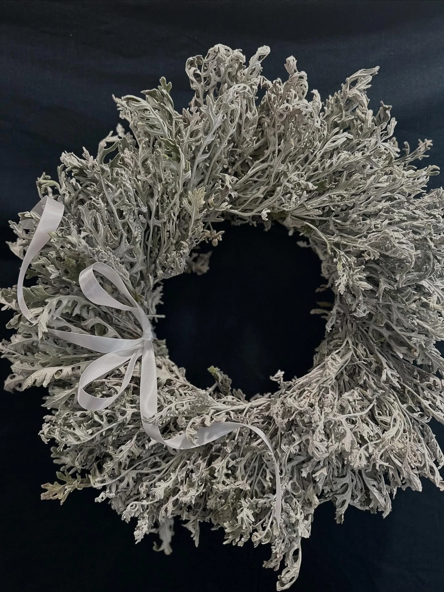 Evergreen wreaths may be done but our dusty miller wreaths are still sleigh-ing in the studio. Plants grown organically at Dandy Ram in the heat of the season, dried, designed in a round, and shipped to your doorstep 🤍🤍🤍