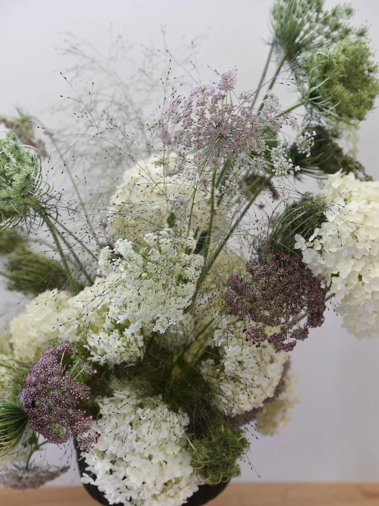 Keeping warm, staying cozy, and dreaming of floral fireworks as we finalize the 2026 seeding plan!