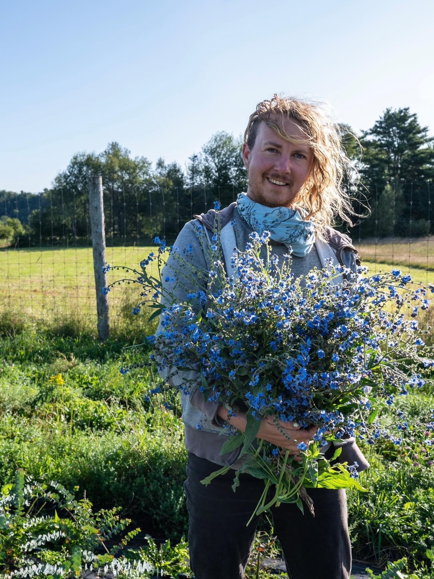 In this season of darkness and chaos of the wider world, I&rsquo;m trying my darnedest to hold onto seeds of hope even if so tiny. Cynoglossum seeds are fiercely stubborn, clinging to literally anything and processing them always reminds me of plants