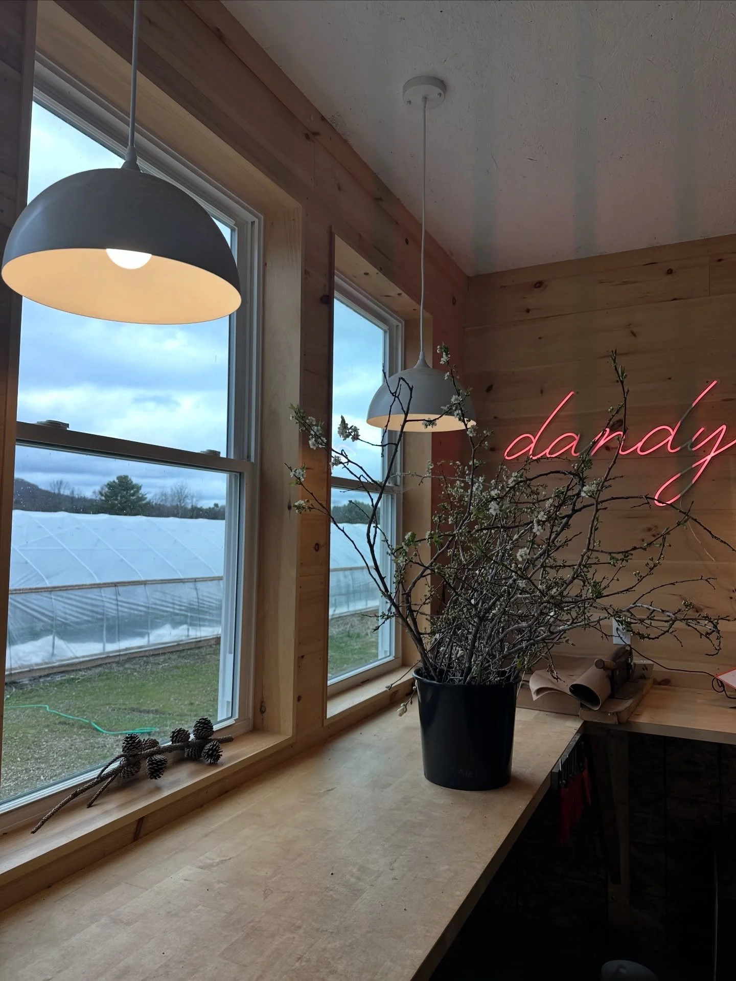 The stage is set for another floral design season here at Dandy Ram! With our first wedding happening this weekend the benches are cleaned, snippers sharpened, sink hooked up, wholesale orders in, and walk in on! We can&rsquo;t wait to floral over 25