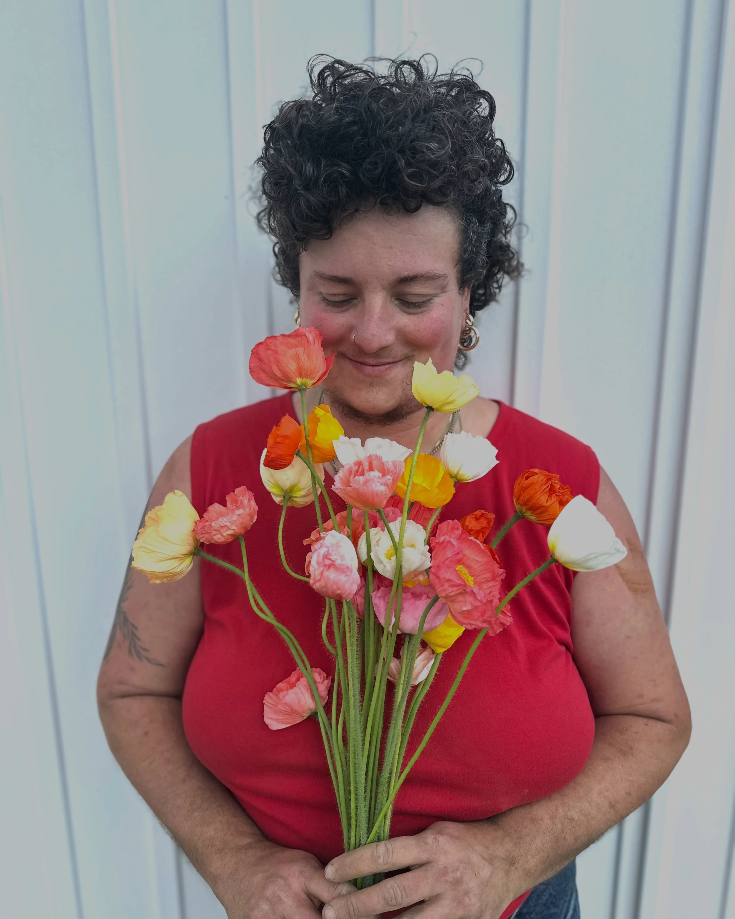 Fistfuls of poppies coming out of our spring tunnels at last!

G will be growing beans, corn, melons, and garlic at the farm again this year for their 3rd season on the community plot! Go follow along @__finocchi__ to see what magic they are cooking 