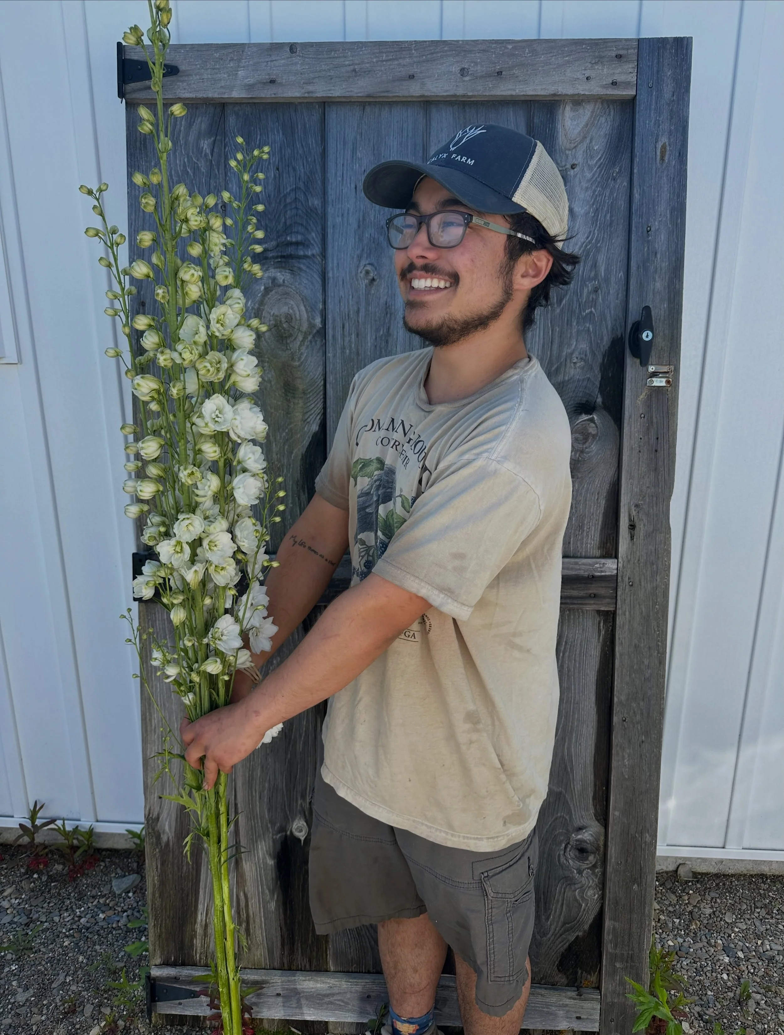 Now starting to measure flower stems by units of @matsuhikida !! We&rsquo;ve been blown away by the stem length and bloom quality on our overwintered flower trials this year and can&rsquo;t wait to integrate another bigger tunnel of the winning crops