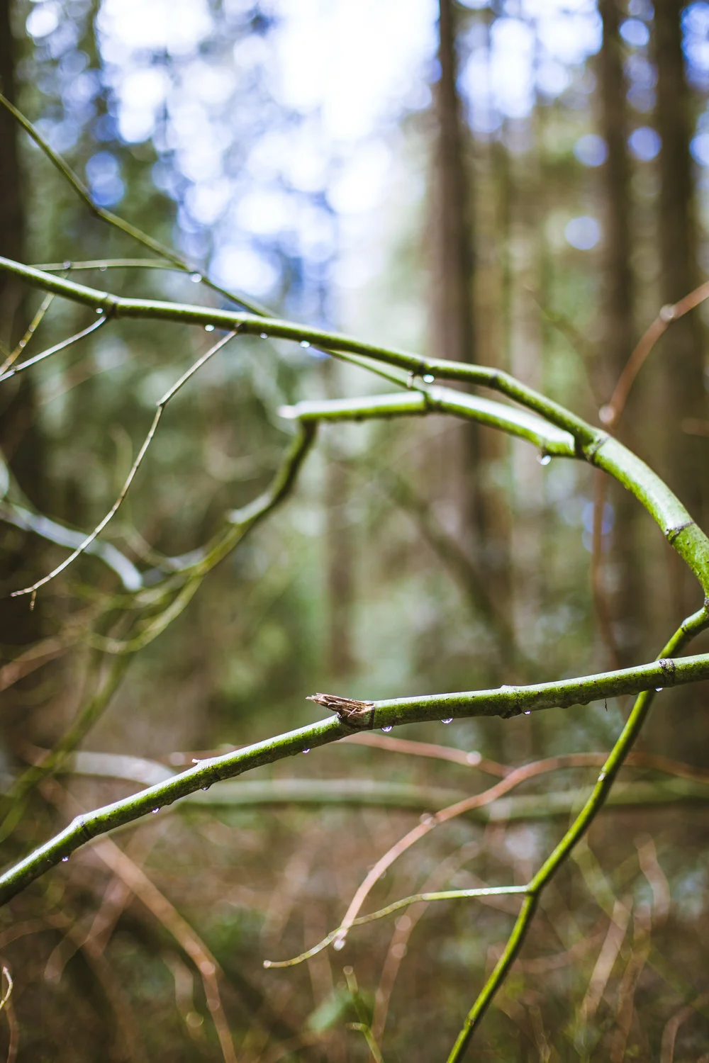 Photograph by Kora Vanderlip