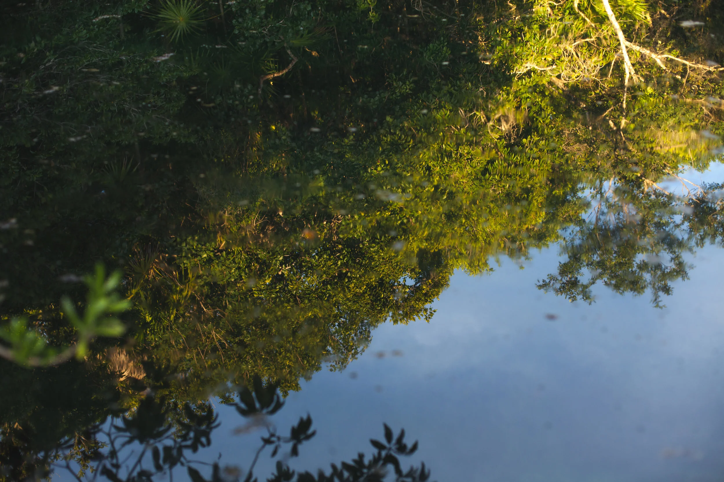 Photograph by Kora Vanderlip