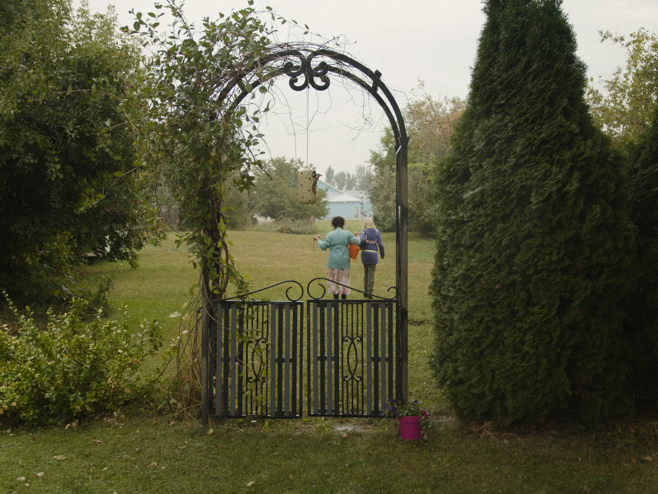 Screen Shot 2020-11-30 at 8.27.32 PM.jpg