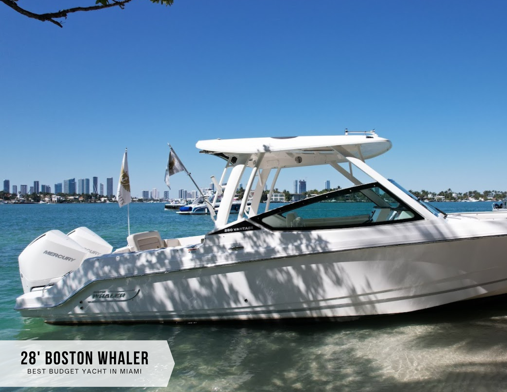 28' Boston Whaler Starting at $1,000/4h