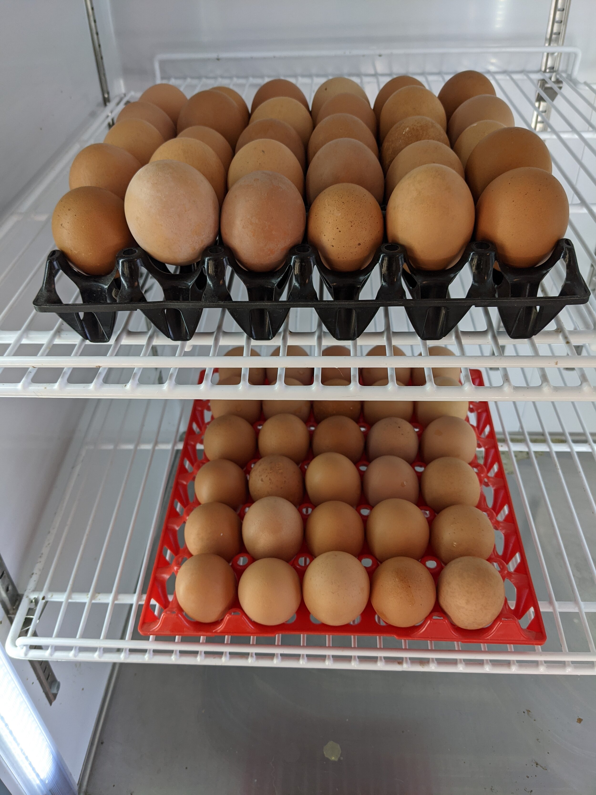 Flat of Chicken Eggs