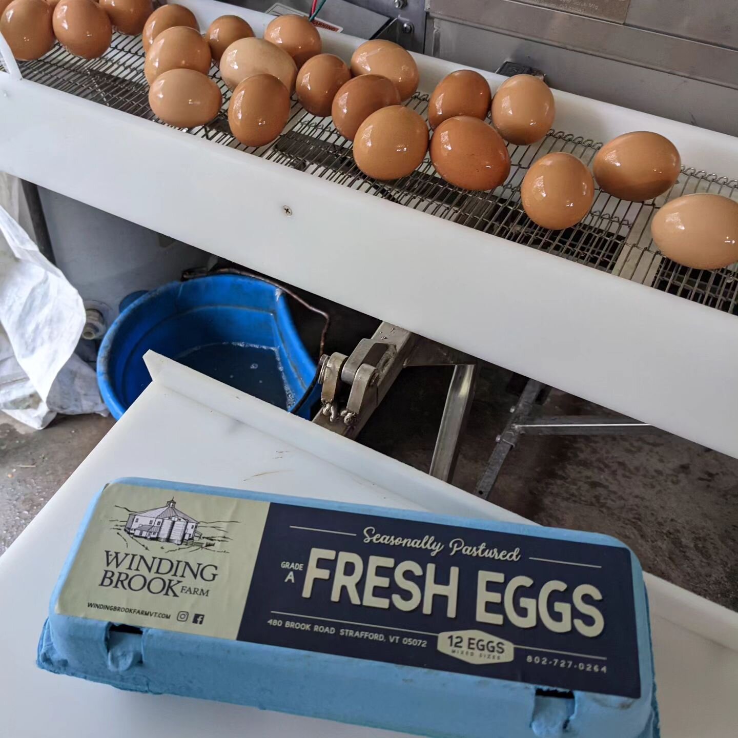 Please return our blue egg cartons to us if you can. We are glad to reuse them! 

#pasturedpoultry 
#eggs 
#vermontbreakfast