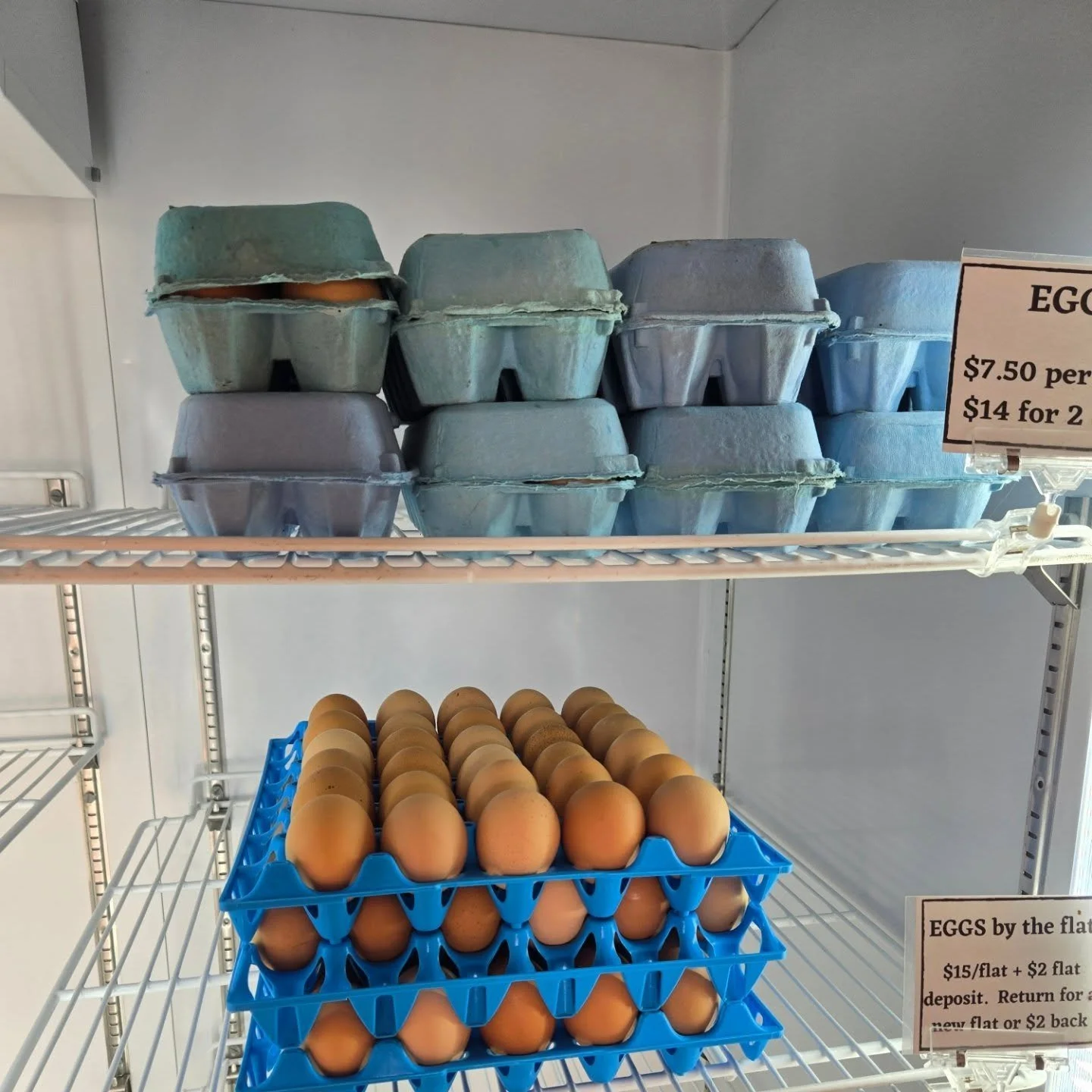 Our farm stand is OPEN! 

We are stocked with pork, lamb, goat, eggs, maple syrup, and sheepskins!

Swing by!  Our stand is open 24/7, self serve.  We accept cash, checks, and cards!  Text us with any questions or if you need assistance: 802-727-0264