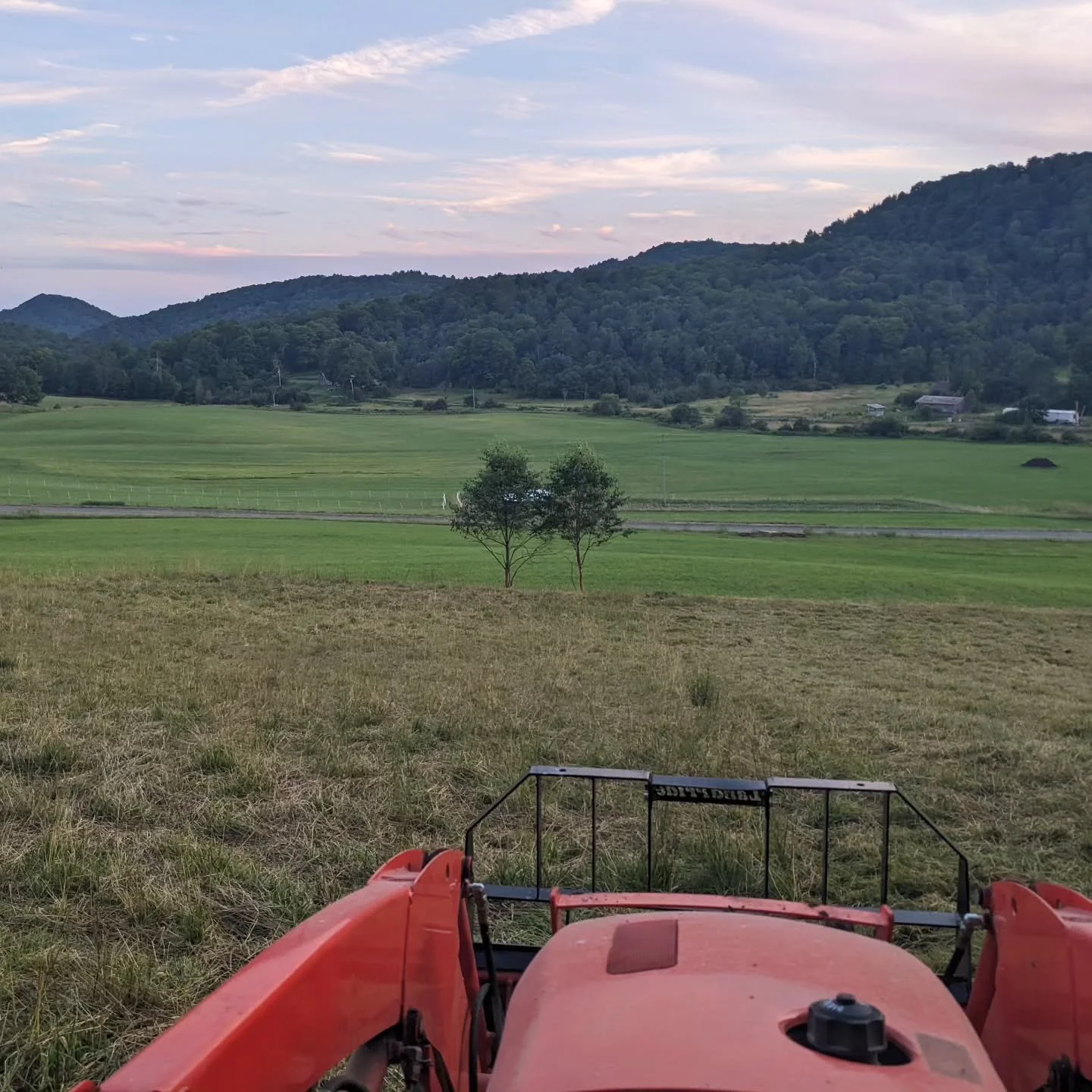 Evening is my favorite time to work, especially with this heat ☀️