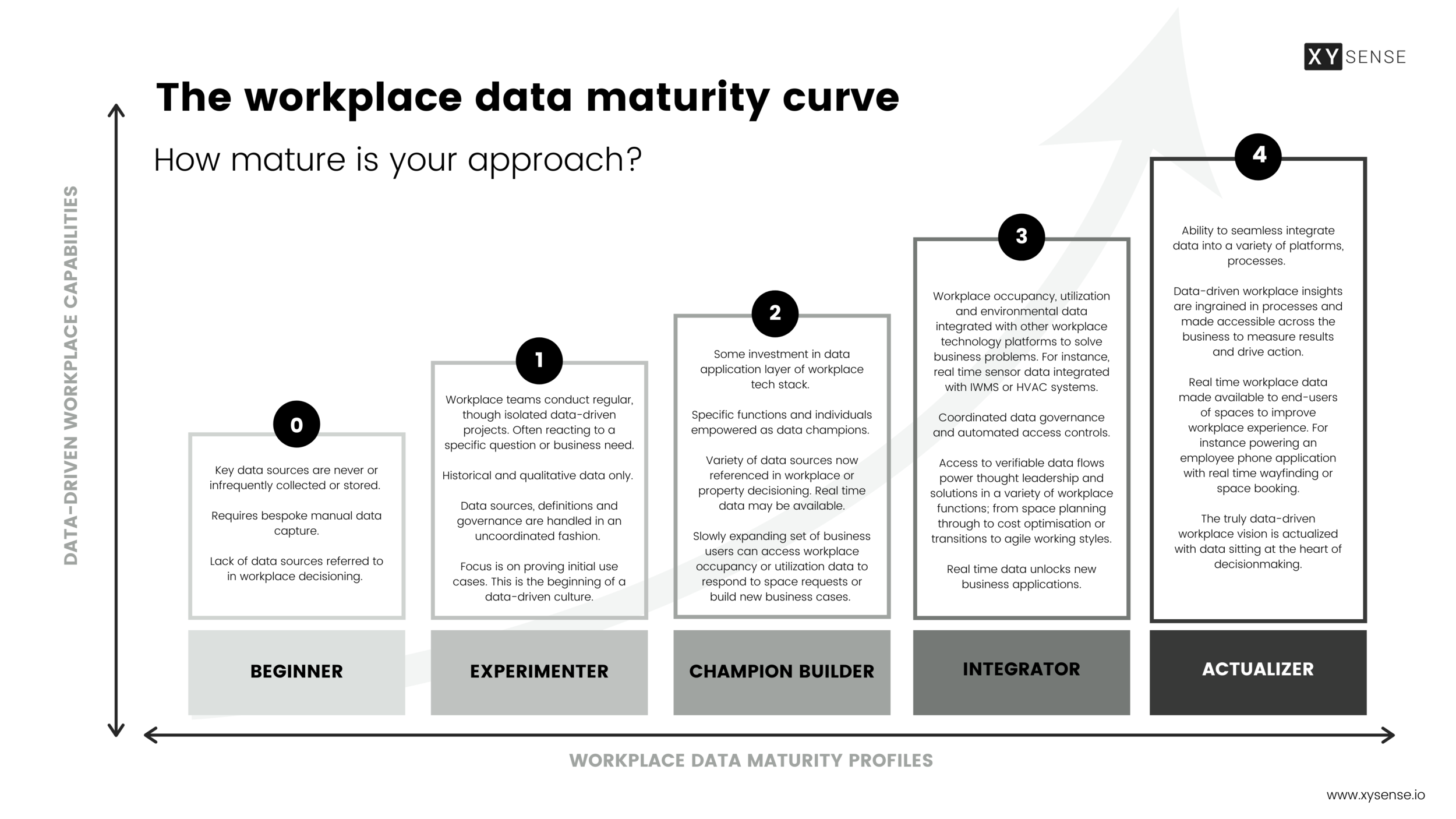 The workplace data maturity curve (1).png