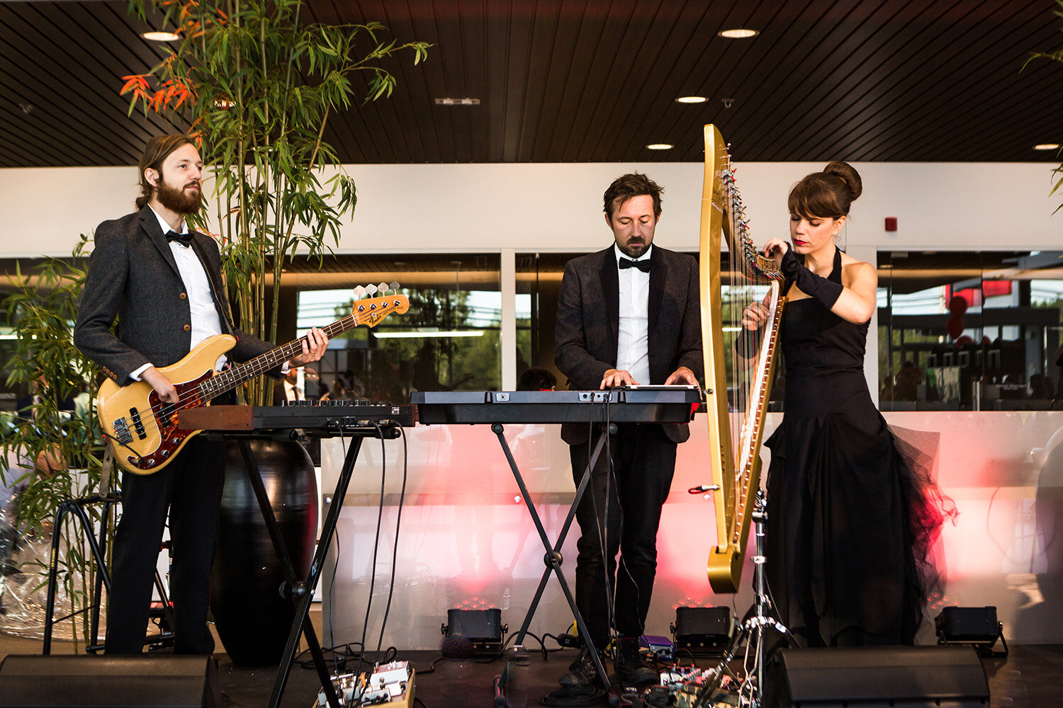  Canada’s premier electric harpist performs a fusion of new age lounge music with her DJ &amp; Guitarist. 