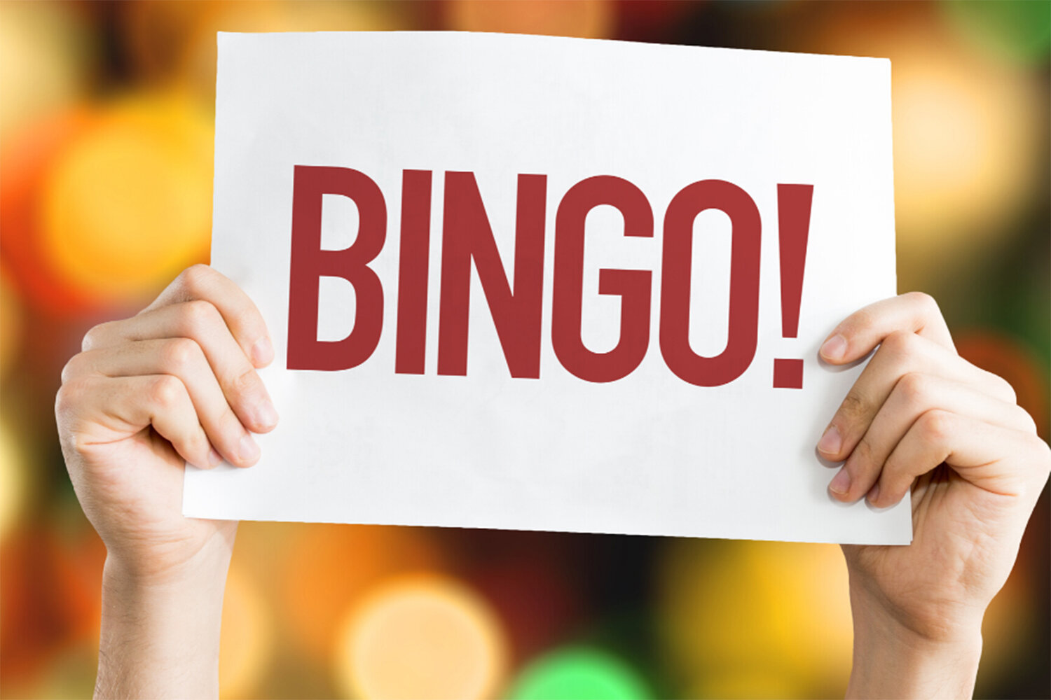 bingo-twitter-and-website-amended-.jpg
