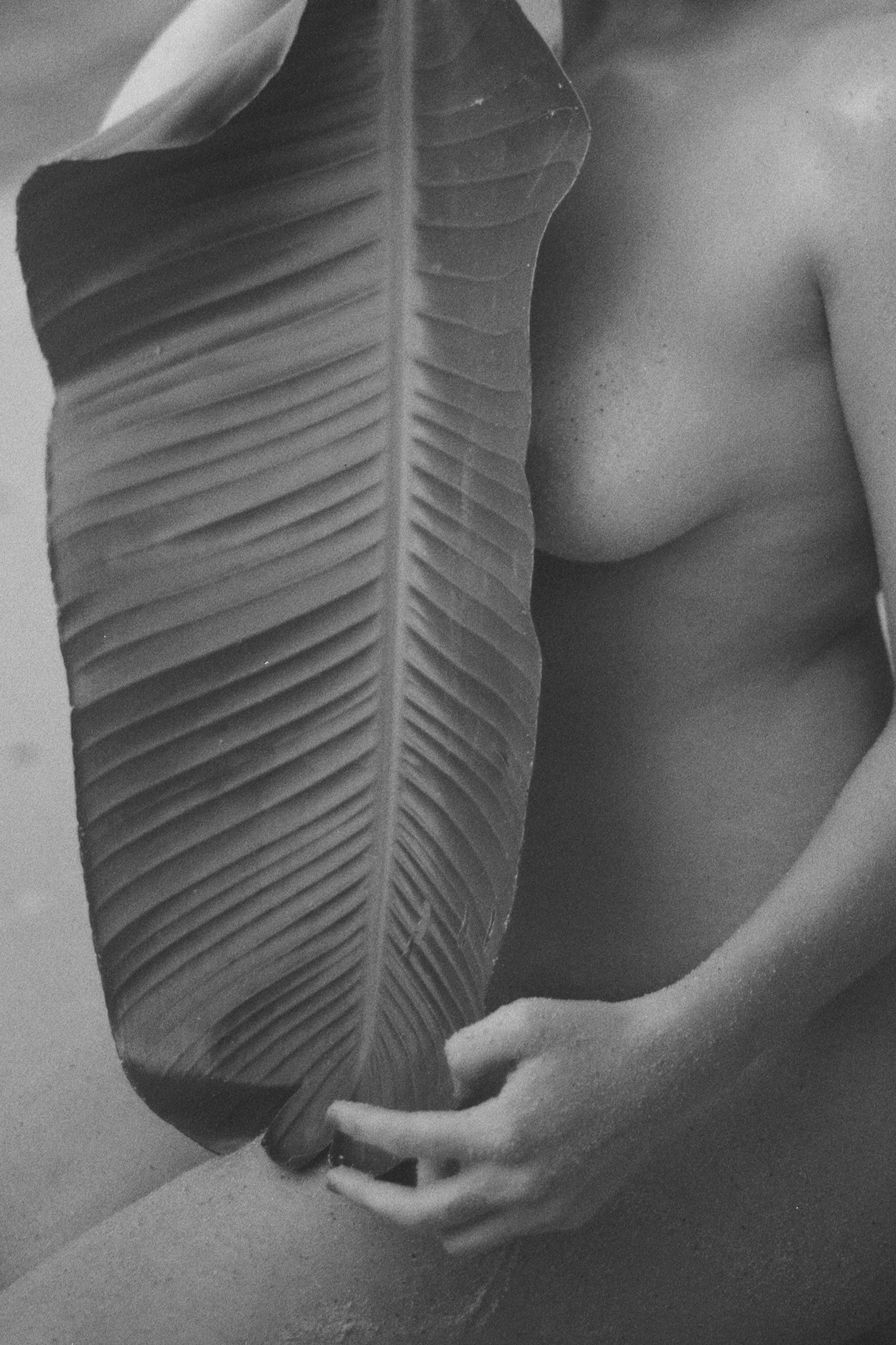 LA FEMME FORME-SUMMER iii.JPG