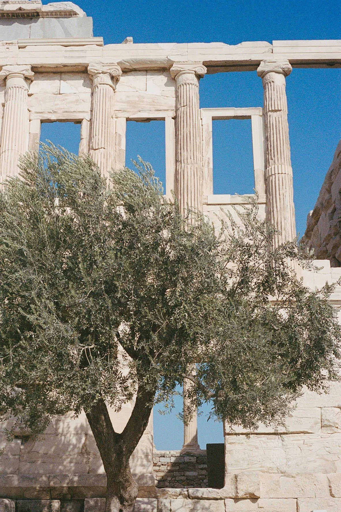 ACROPOLIS iv_000009670016.JPG
