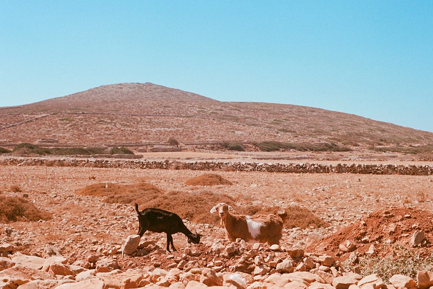 FOLEGANDROS-Aerial vii_000009680007.JPG