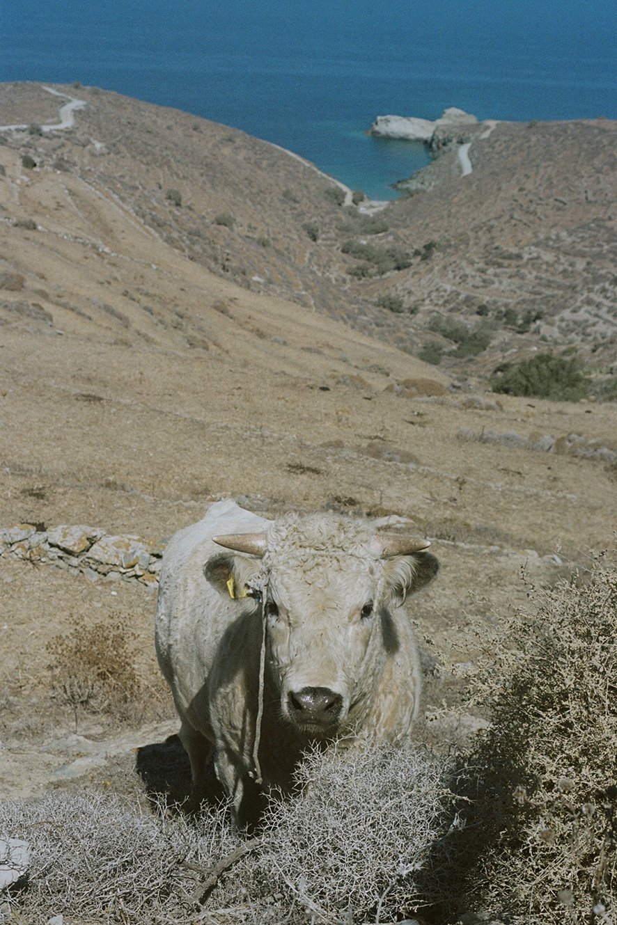 FOLEGANDROS 1viii_000017960002.jpg