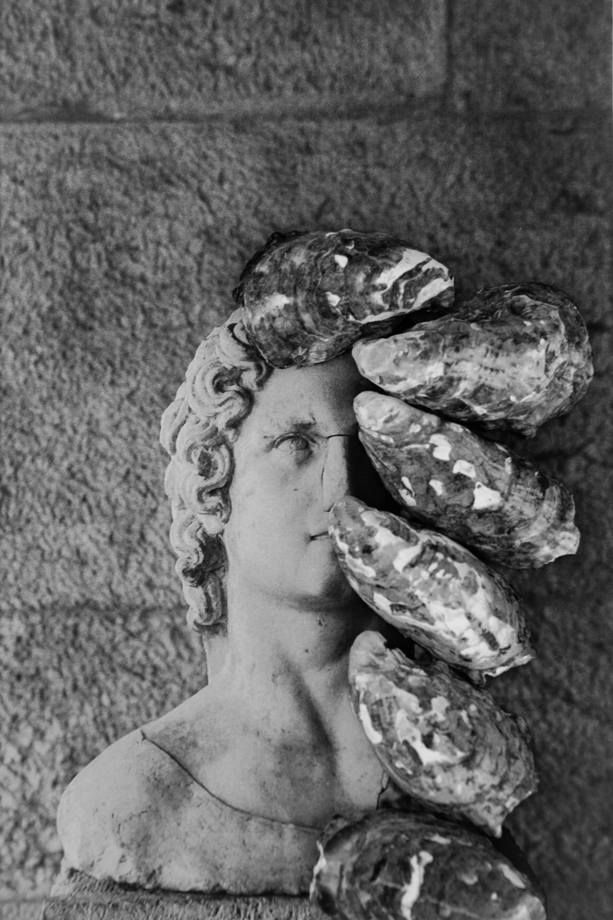 FRAGMENTS i_DSC1088_edit.jpg