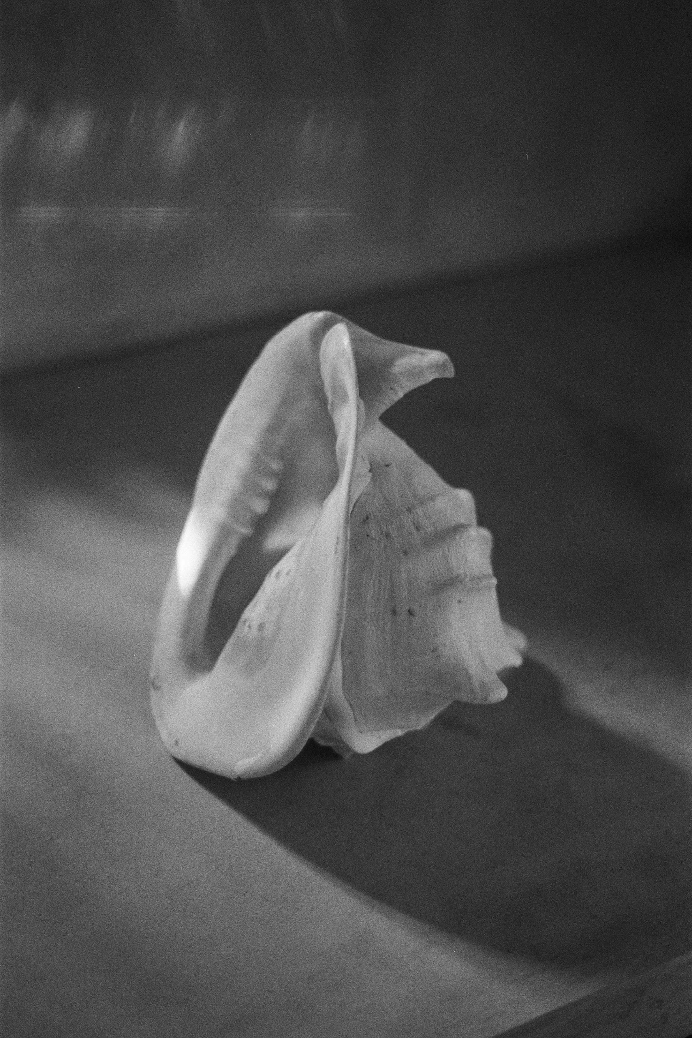 FRAGMENTS iii_000027910002.JPG