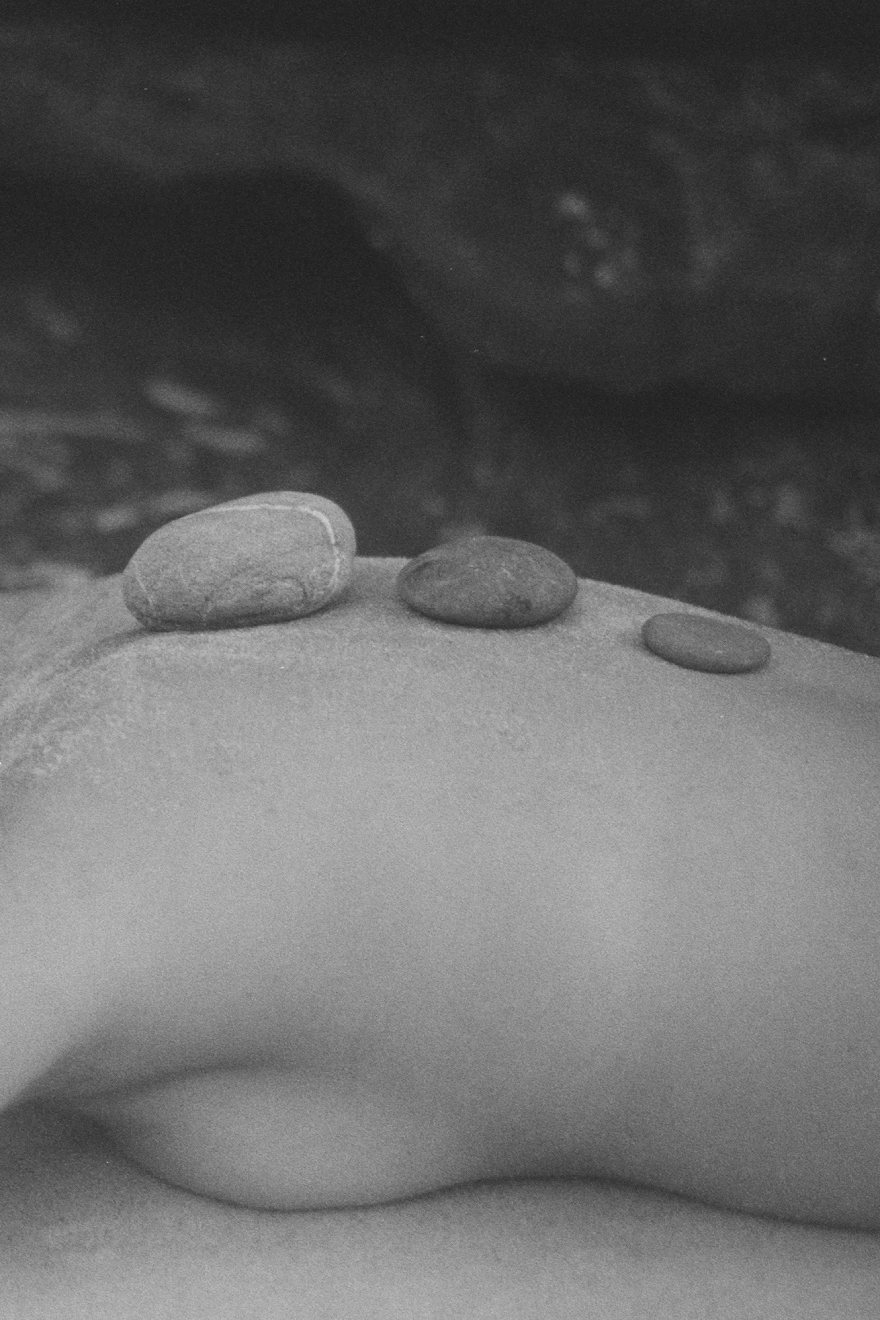 FRAGMENTS v_SUMMER_iii.JPG