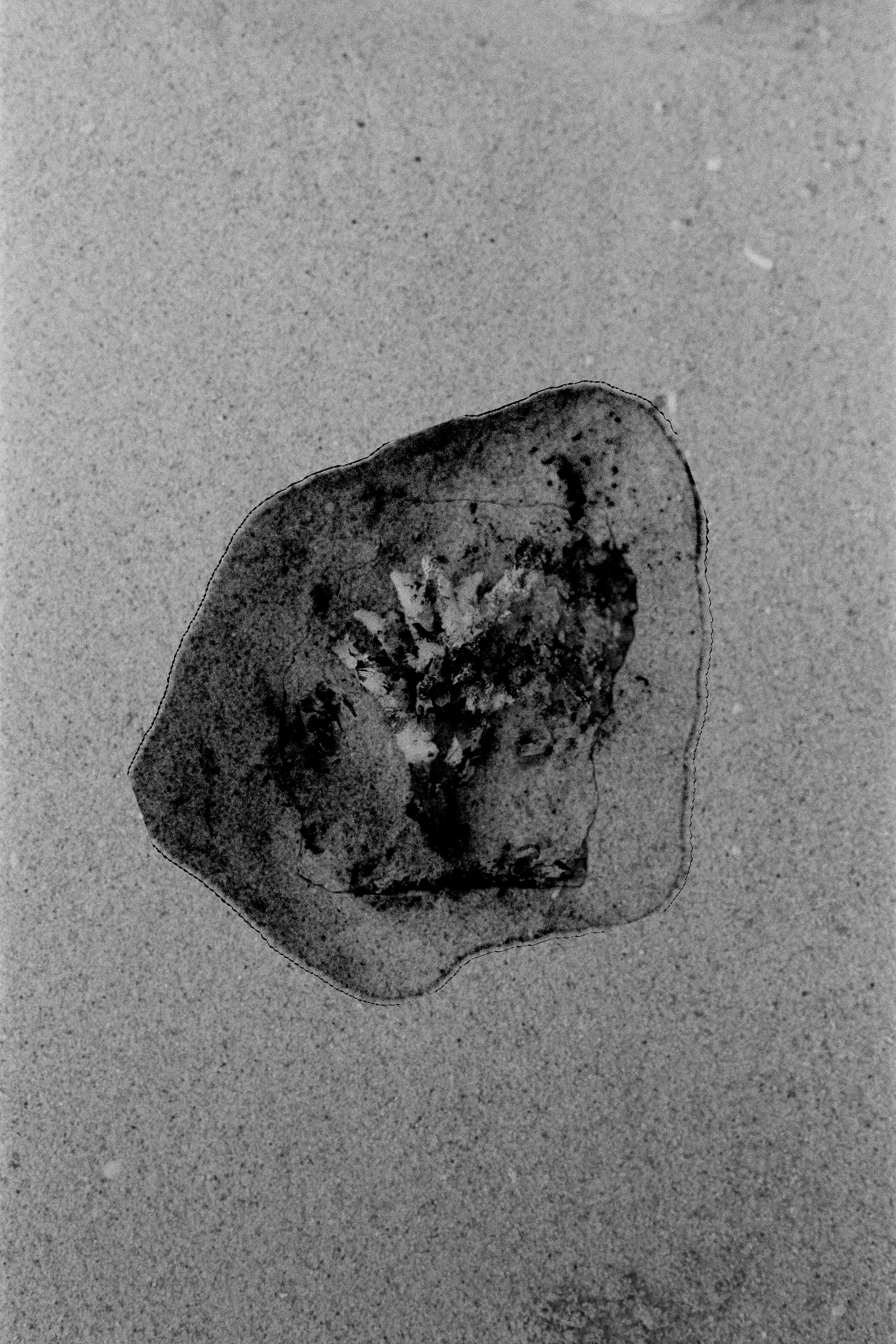 FRAGMENTS iv_IMG_3938.JPG