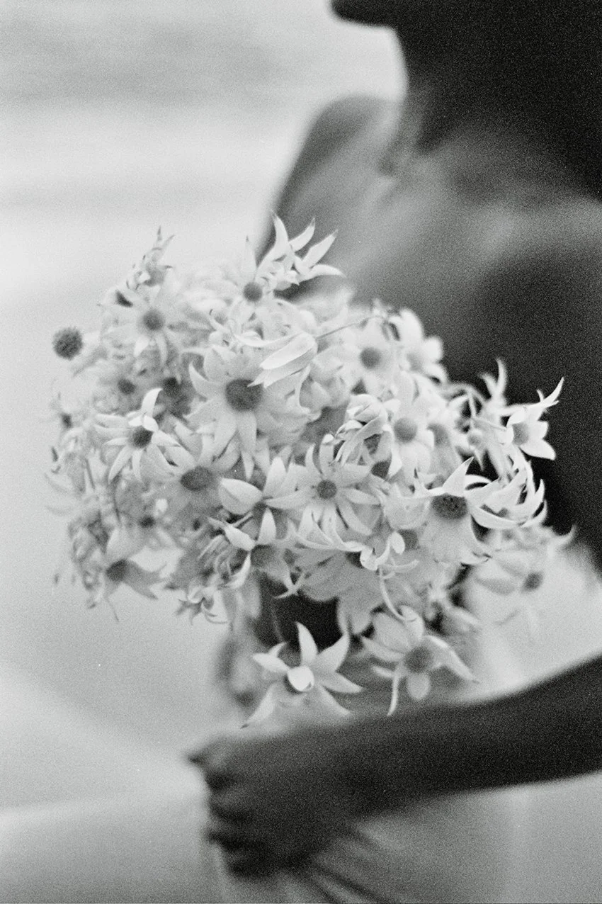 FRAGMENTS xi_0036.JPG