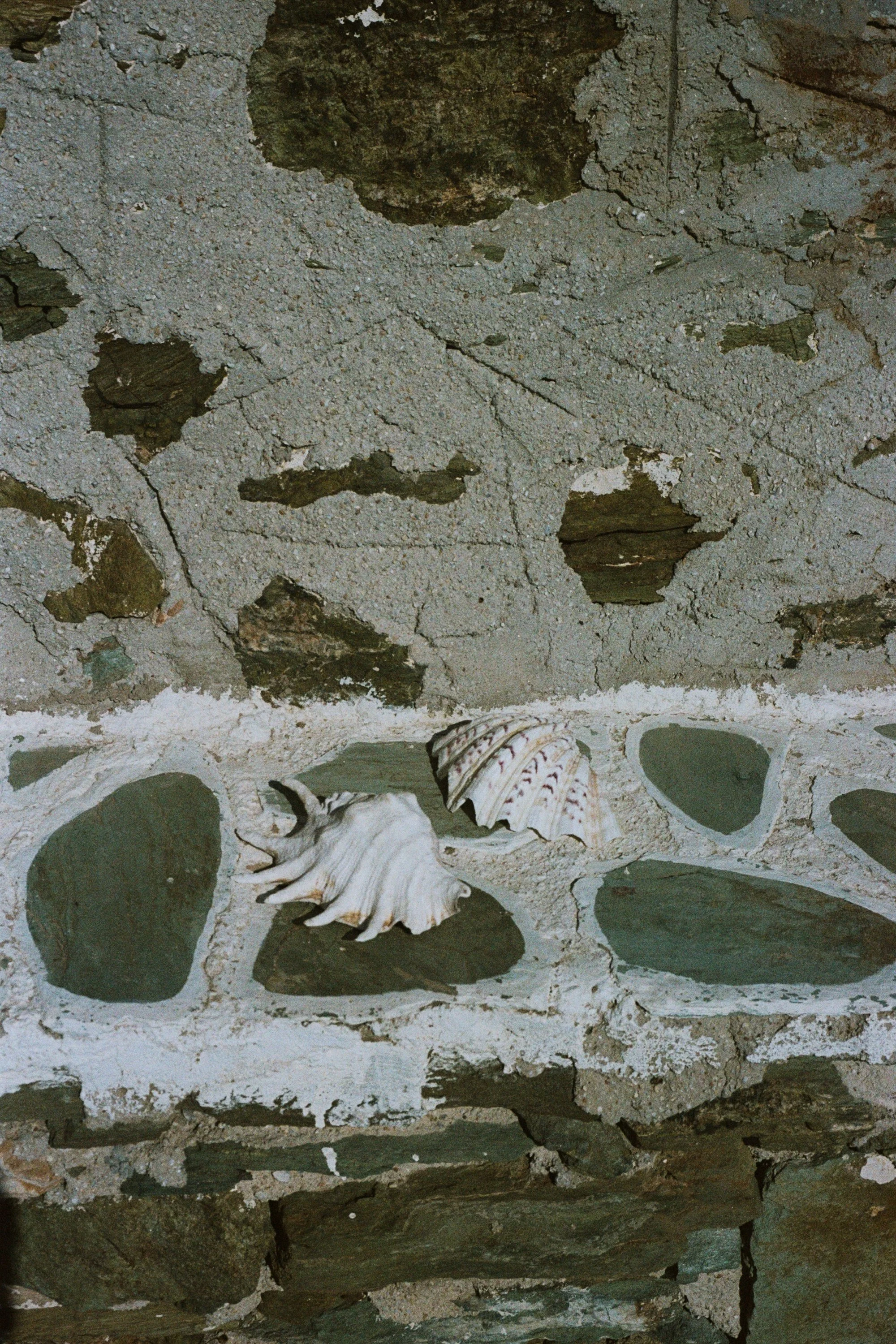 FRAGMENTS vi_000017950016.JPG