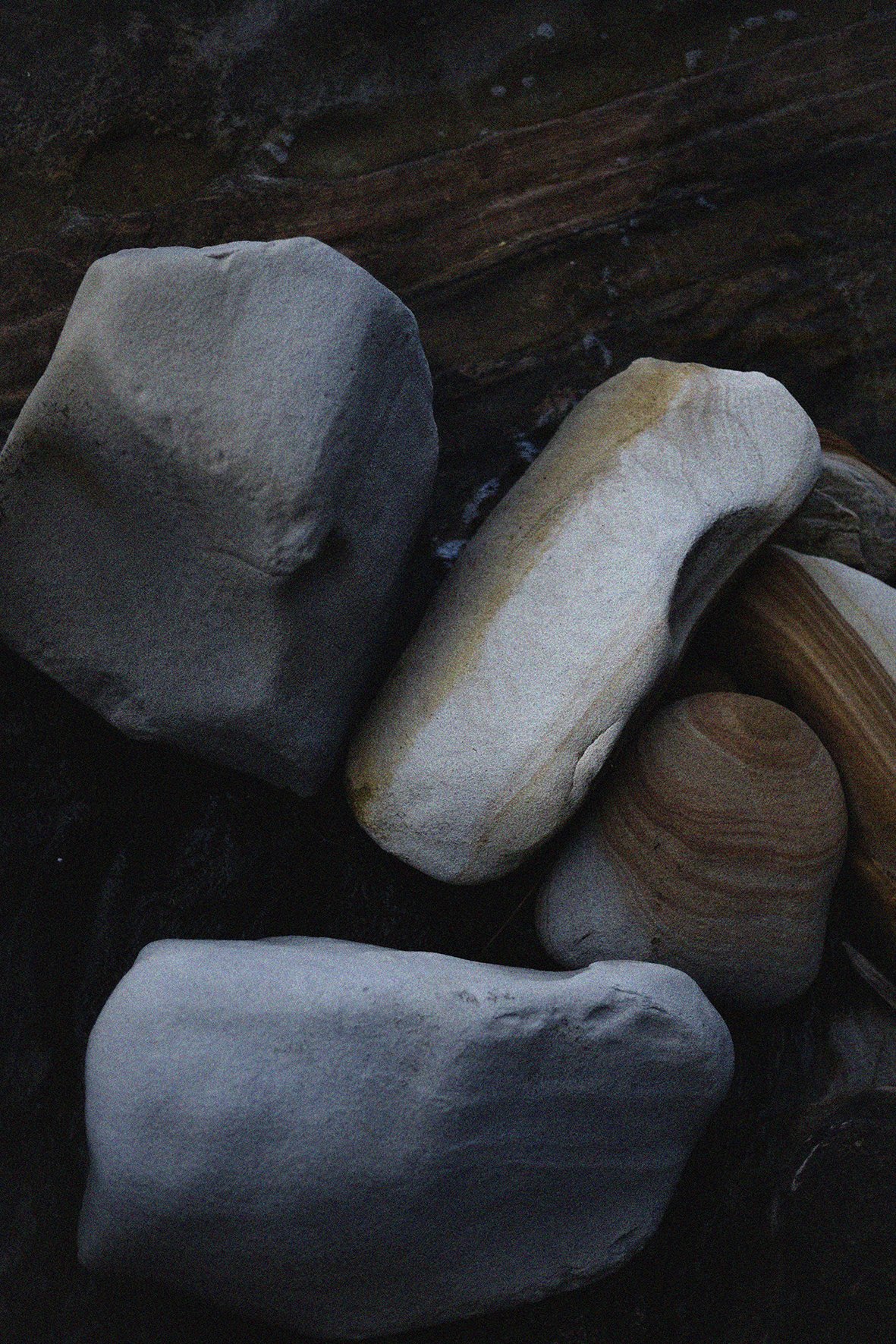 FRAGMENTS xvi_0006507.jpg