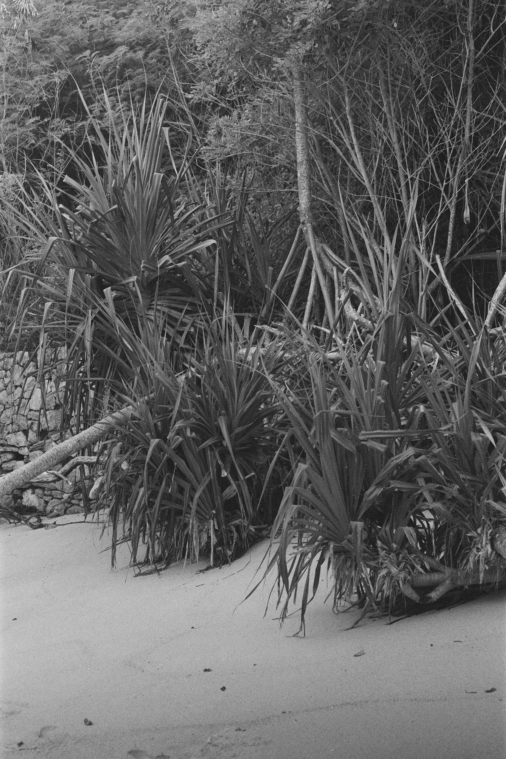 BALI-MONOCHROME ii_000001880005.jpg