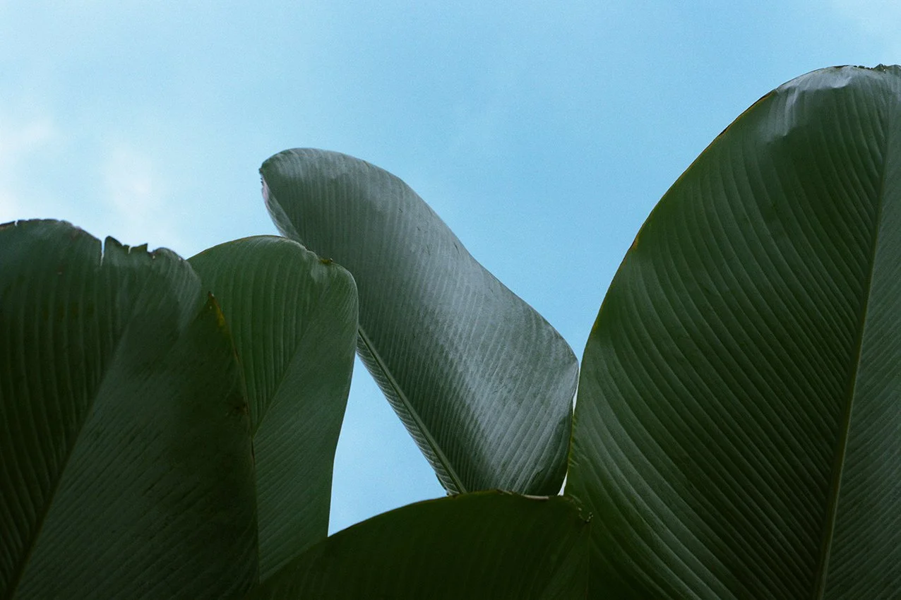 BALI-COLOUR iv_000027870036_edit.jpg