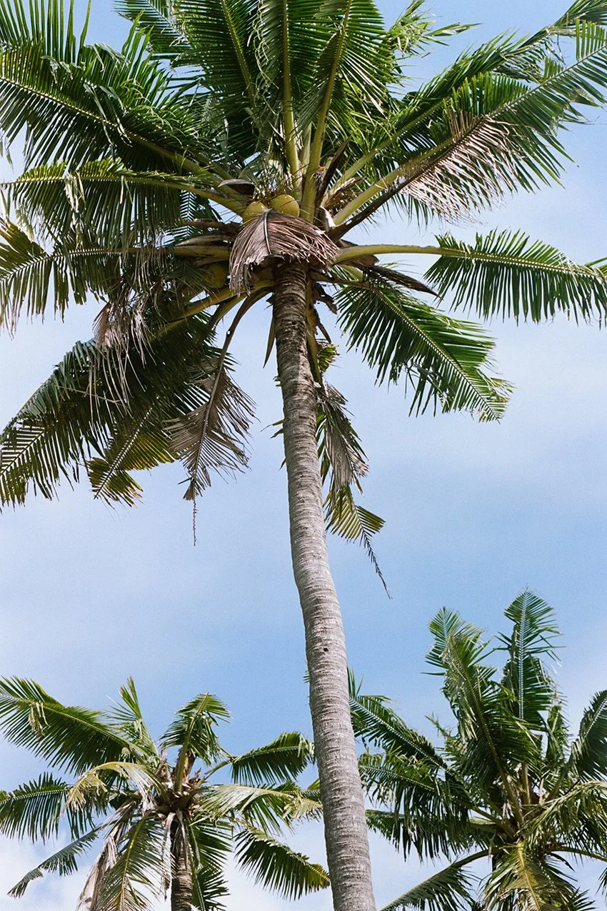 BALI-COLOUR ix_000027880034.jpg