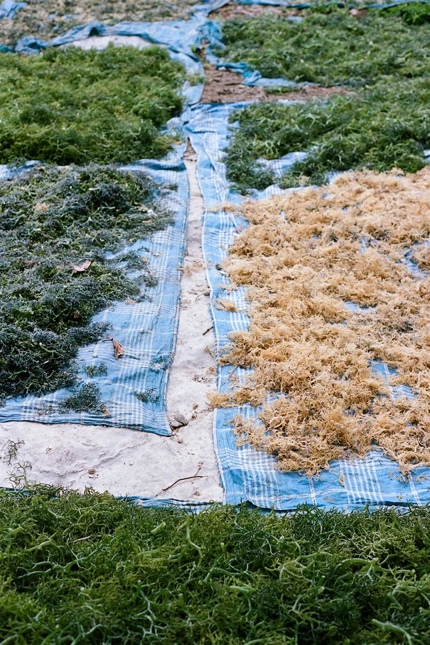 BALI-COLOUR vii_000027880019.jpg