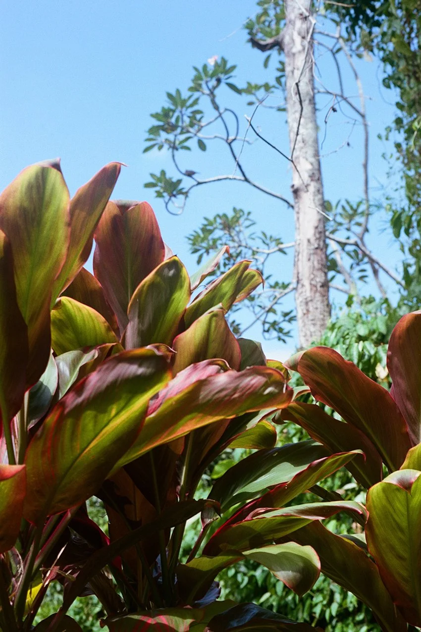 BALI-COLOUR x_000027890004.jpg