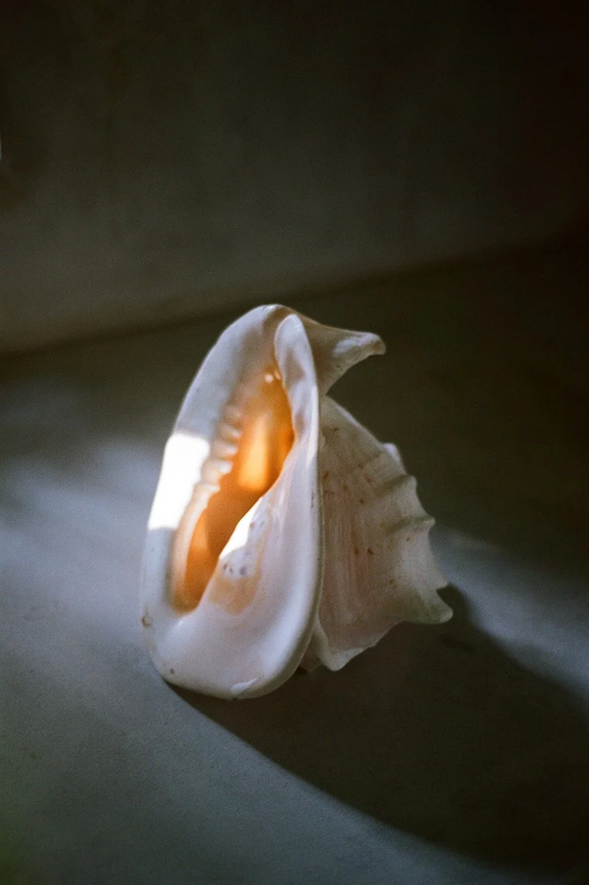 BALI-COLOUR iii_.jpg