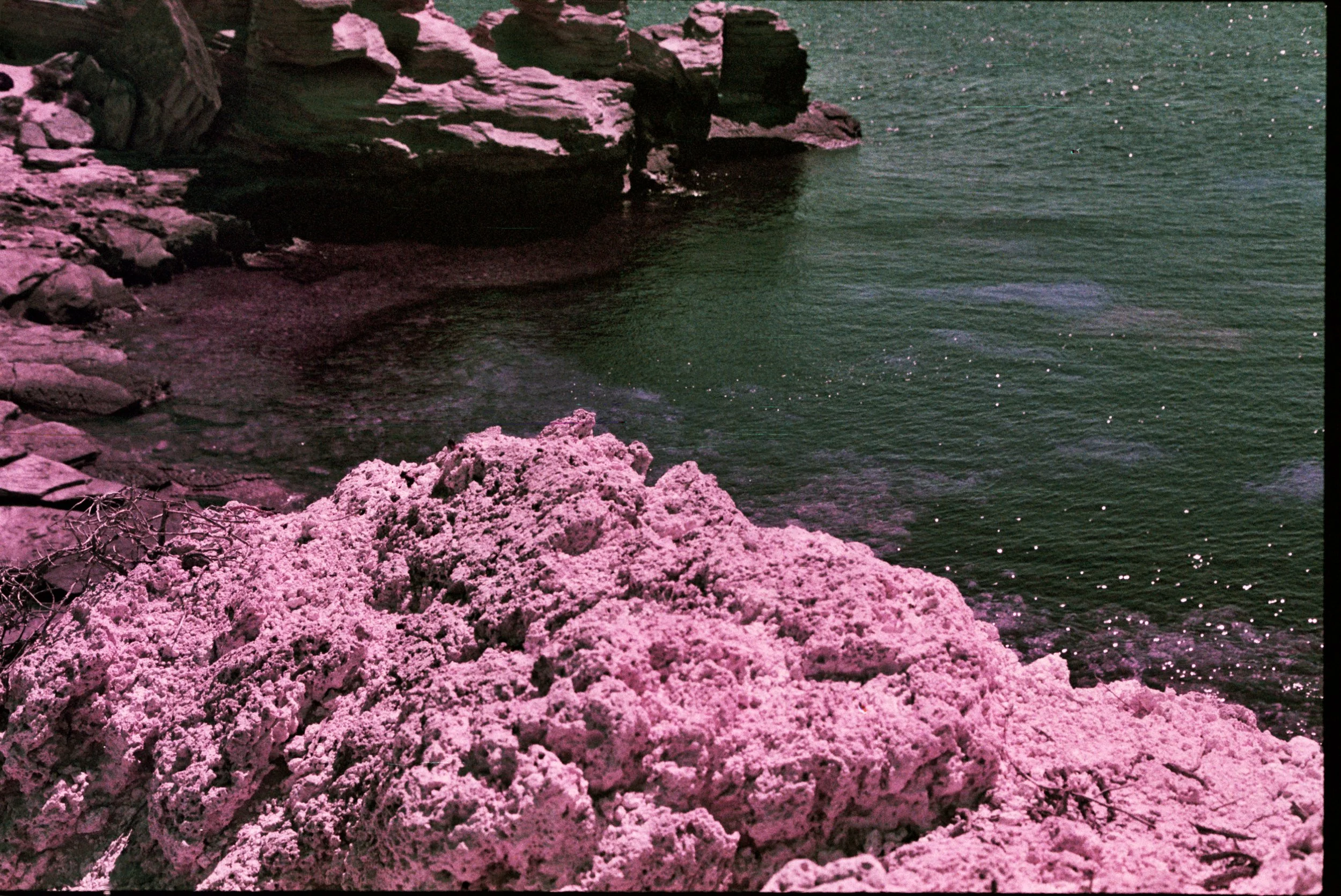 Rottnest Island — Lomo Film Study