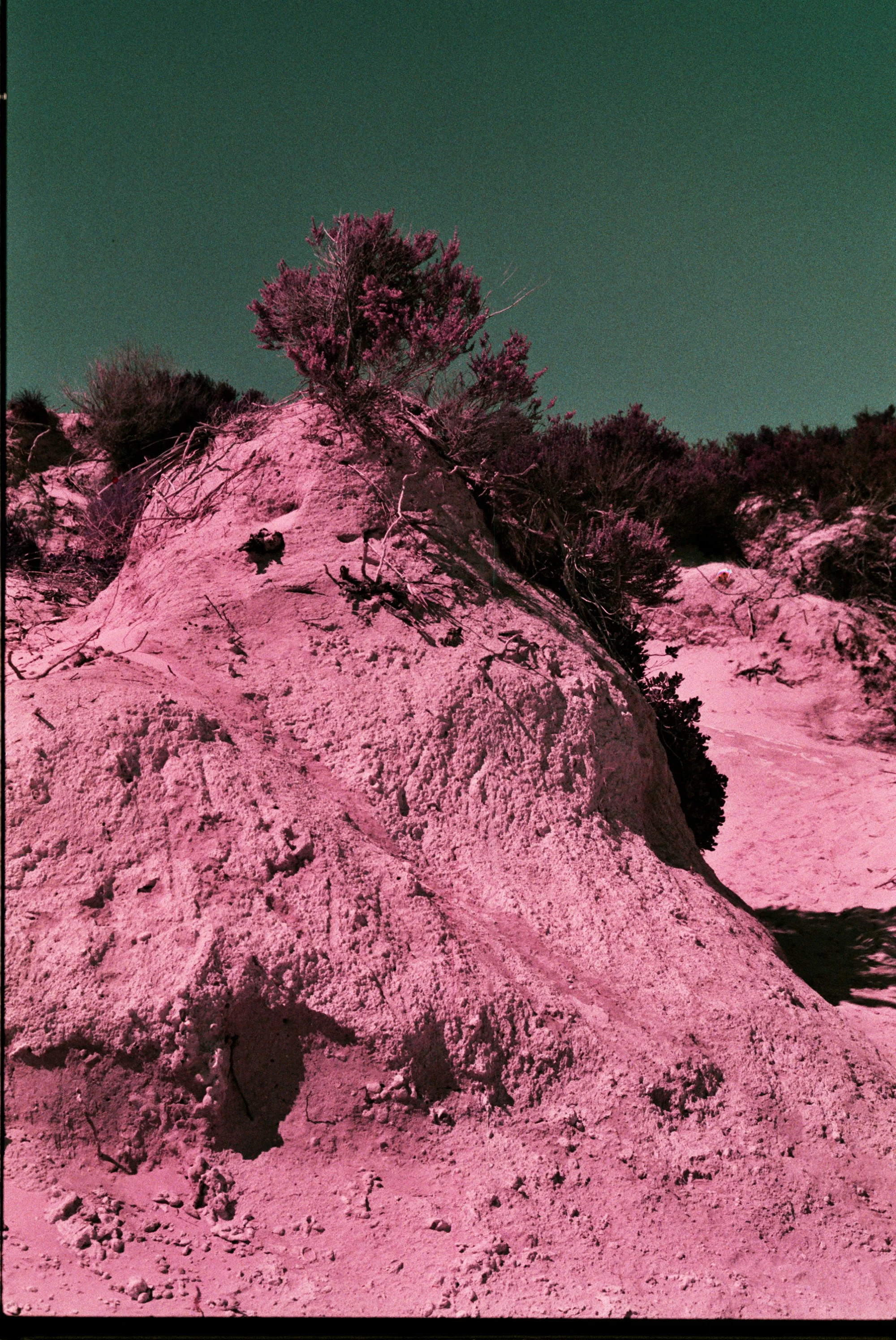 ROTTNEST-LOMO iv---_0014.jpg