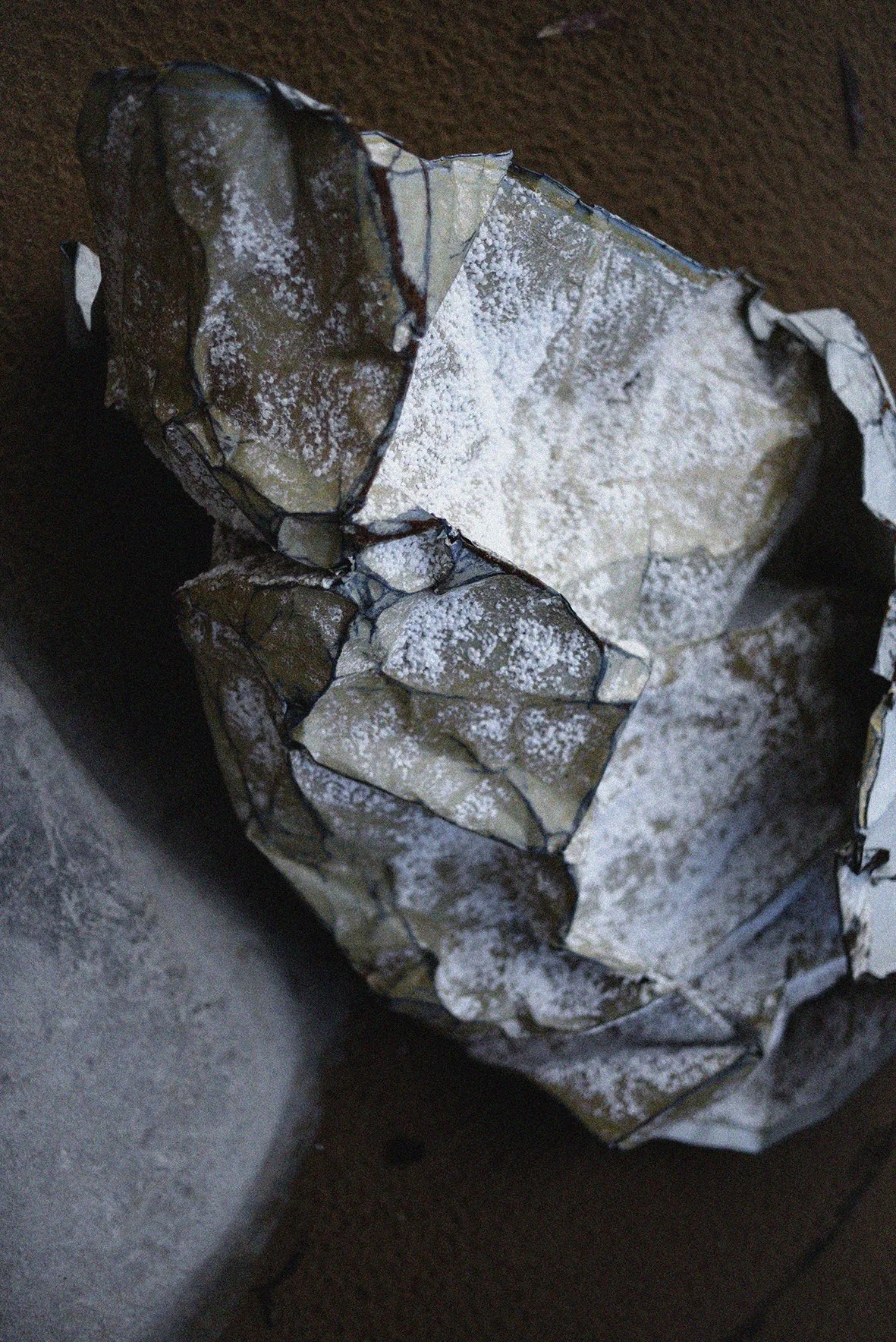 FRAGMENTS xv_0006483.jpg