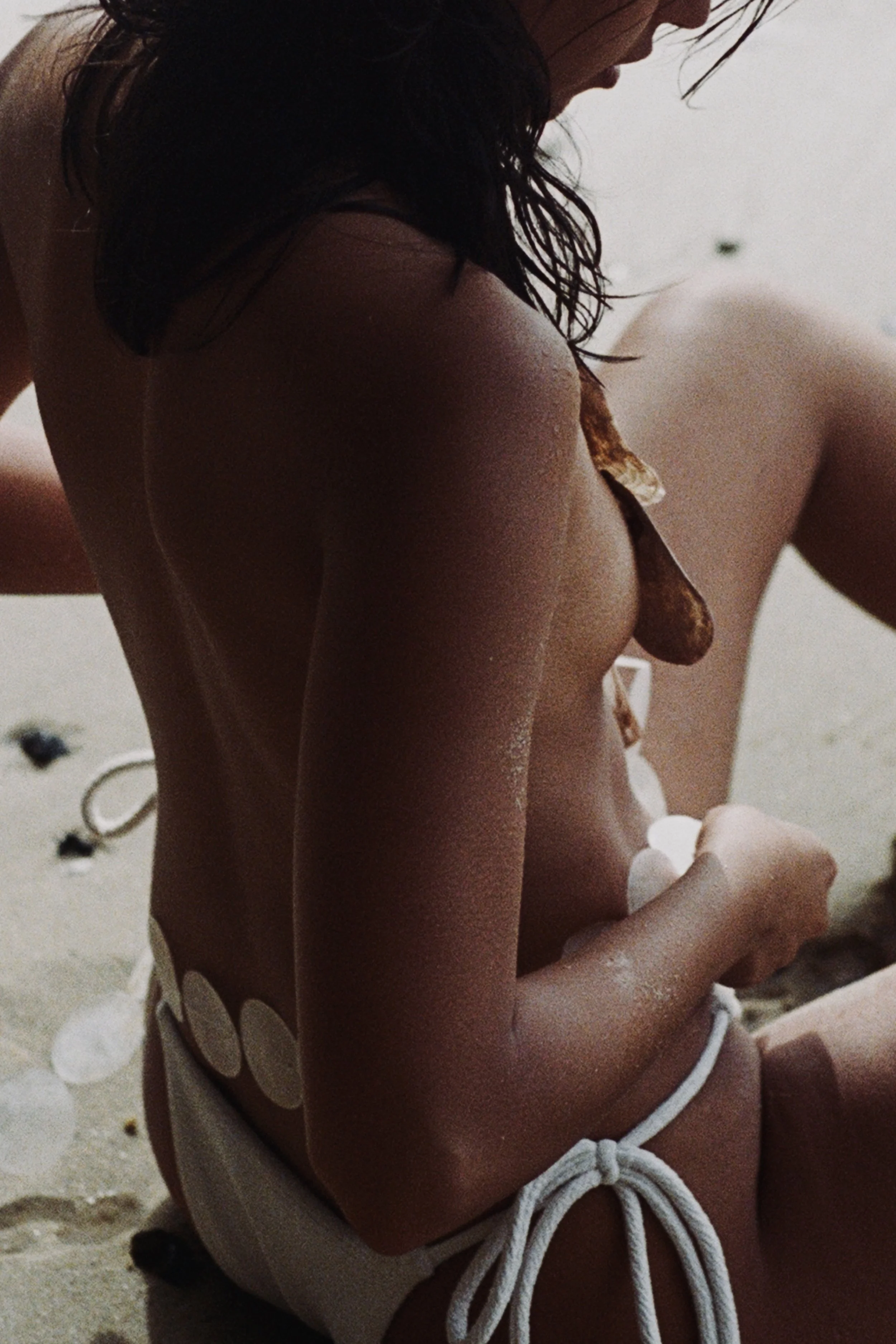 SEA SHELLS SEA SHORE i.jpg