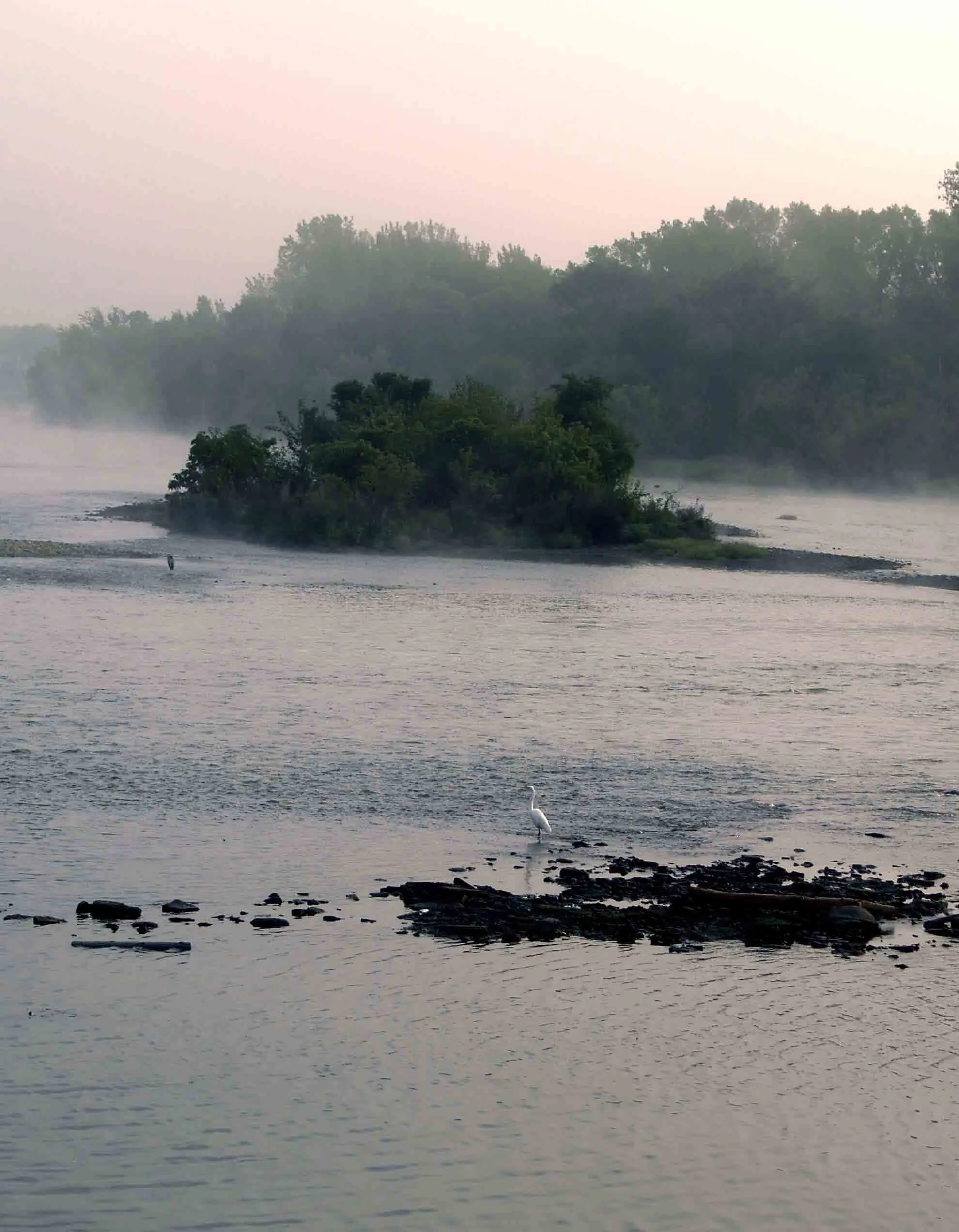CITIZENS AGAINST RUINING THE ENVIRONMENT
