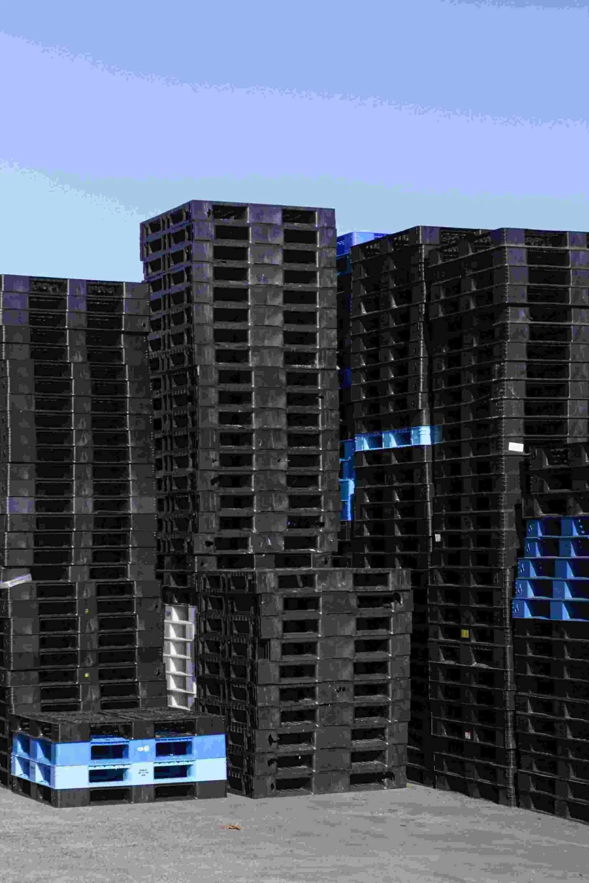 Australian Standard Pallets Brisbane — Tom's Pallets