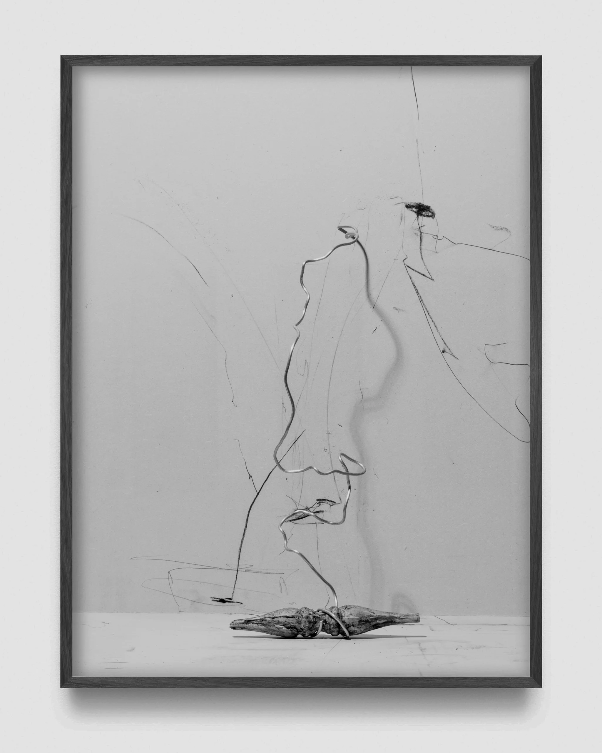  Restless Phantom,  2026  Pigment print on archival paper, artist frame, 120 x 90 cm