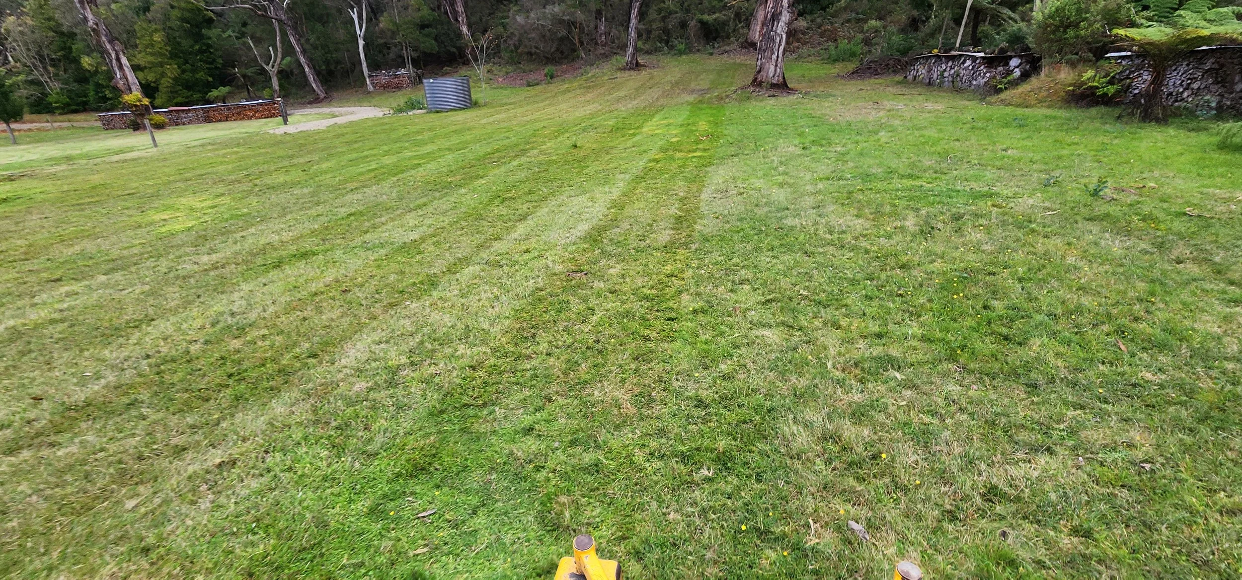 A grassy backyard with a freshly mowed lawn, several trees, a metal water tank, and stacks of firewood, with a wooded area in the background.