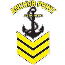 Anchor Point Security