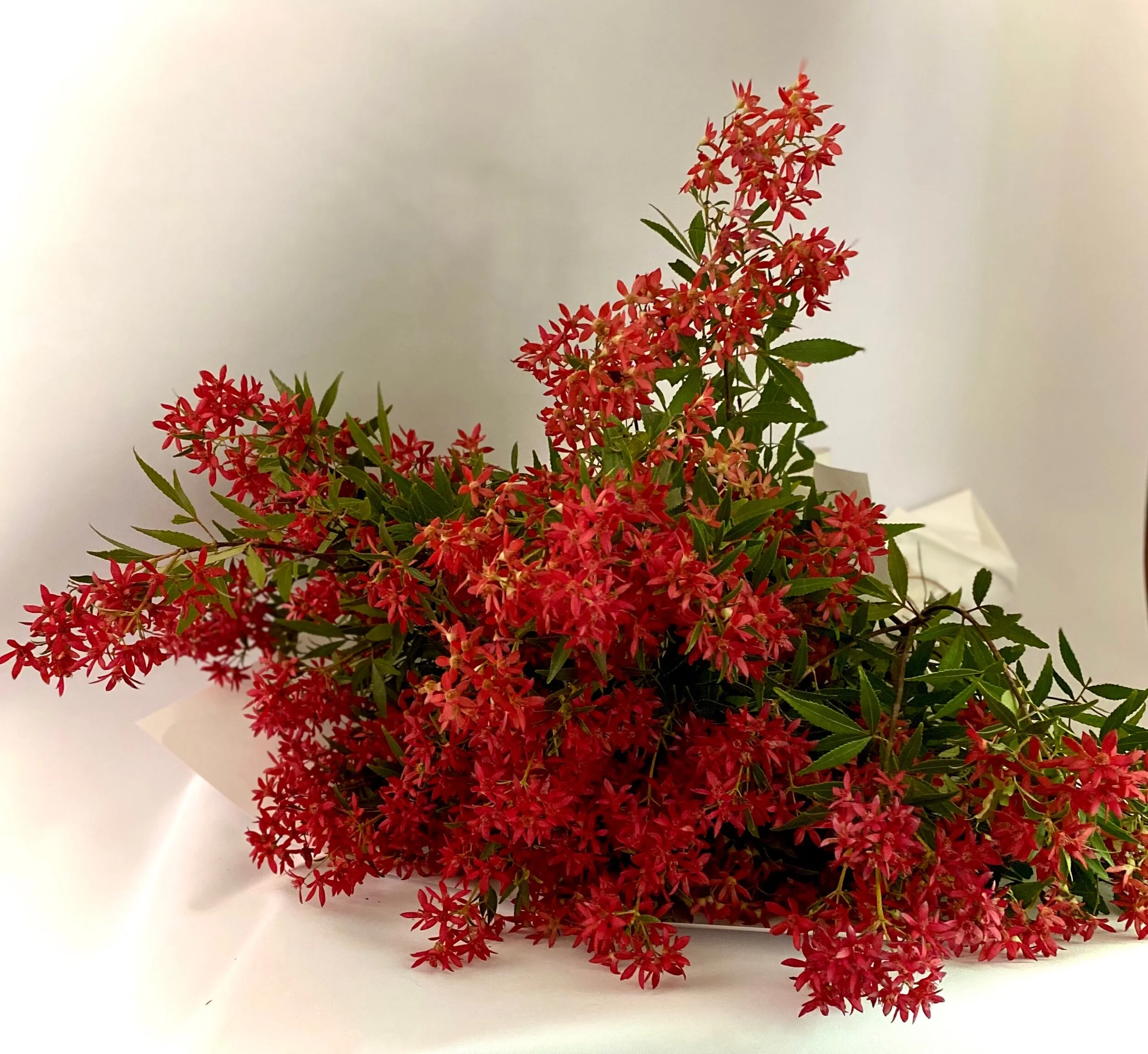 26A543C8-A36E-476F-8D7B-321E62E7B6D7