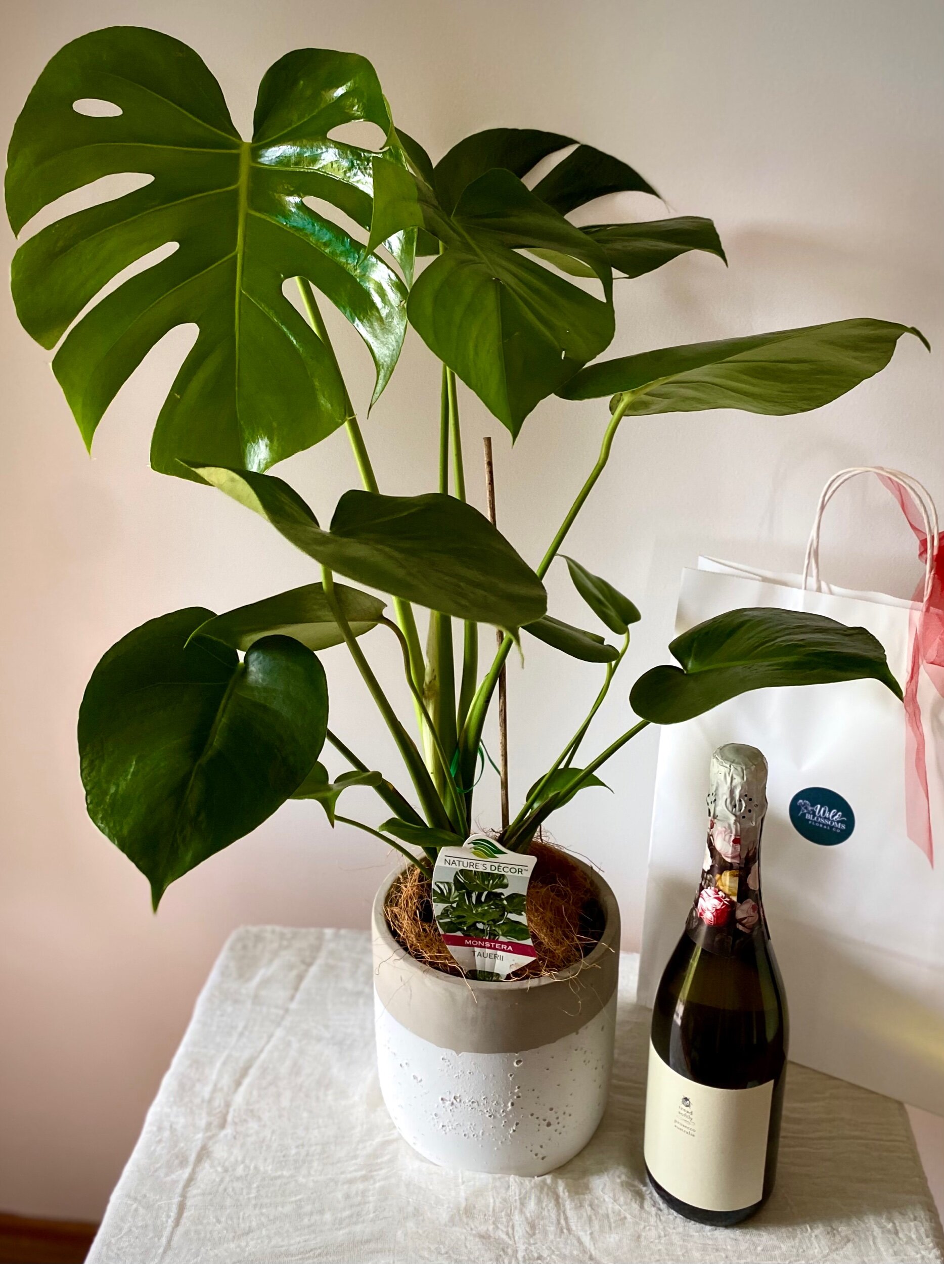 259718C6-3733-4B88-BA1C-0506CC611A4E