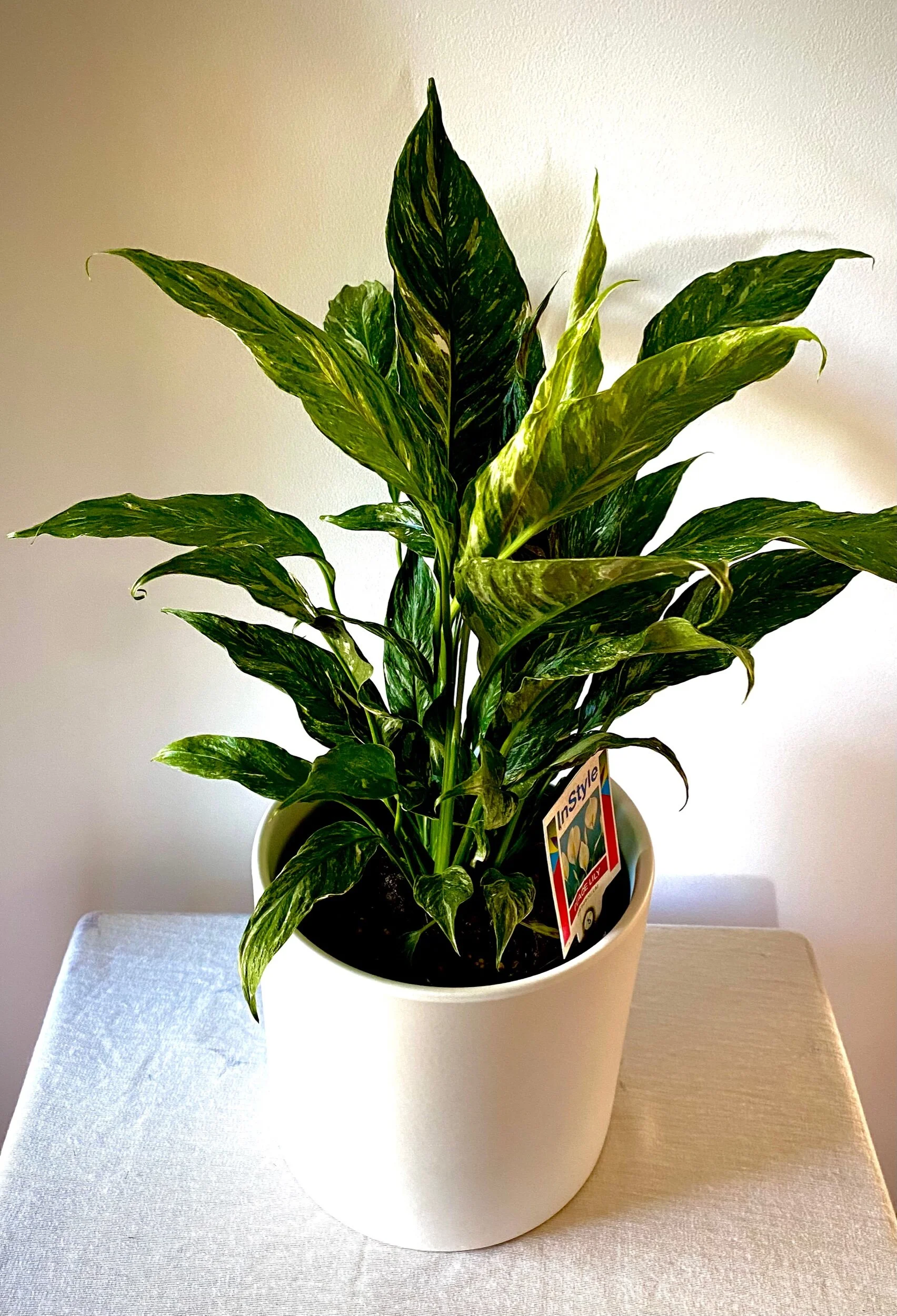 D7F025B3-5488-458C-8162-03F5896DDBA7