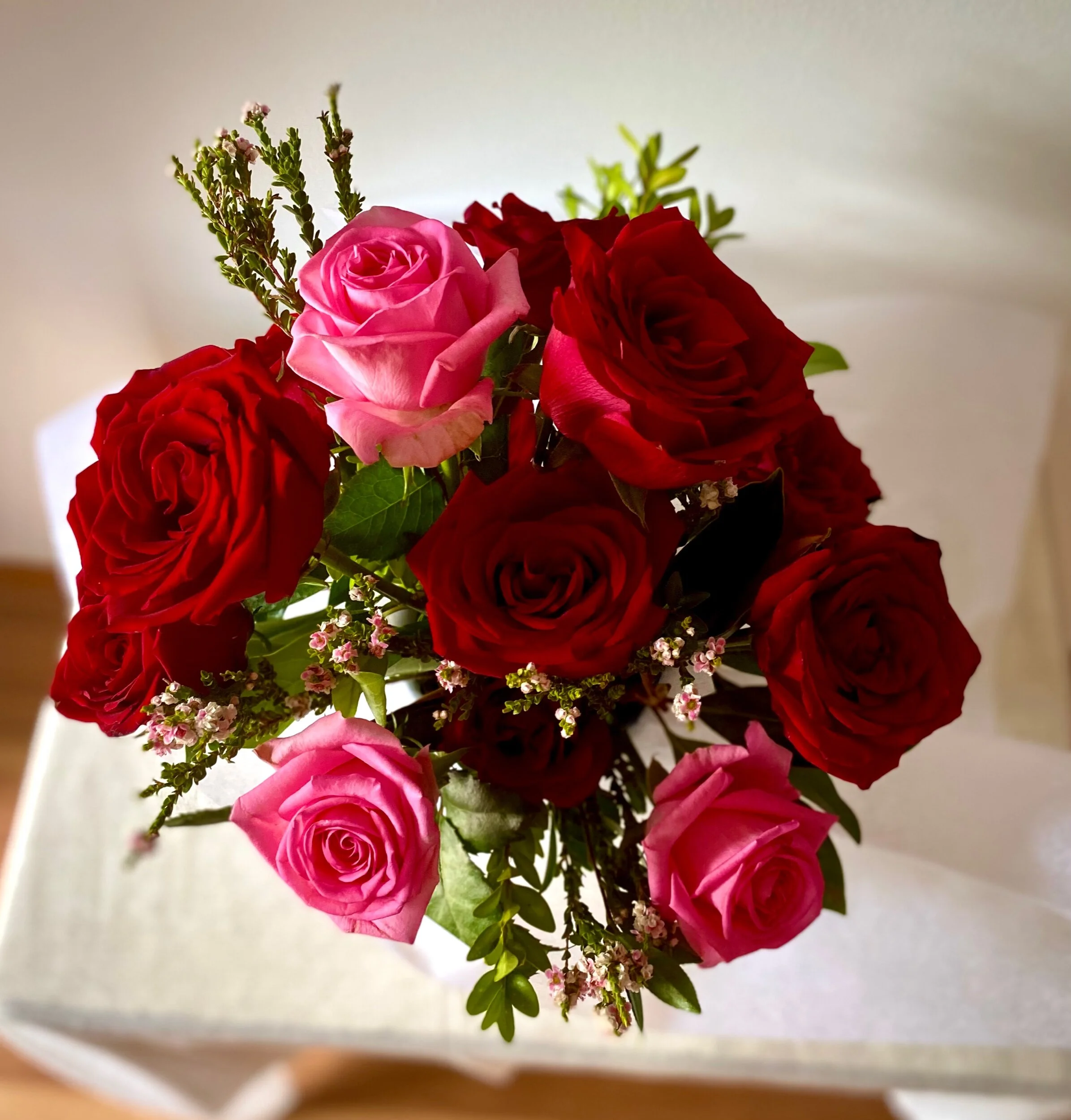 86B8EE2F-7BA8-4ED2-B0E1-25BDC5F681F6