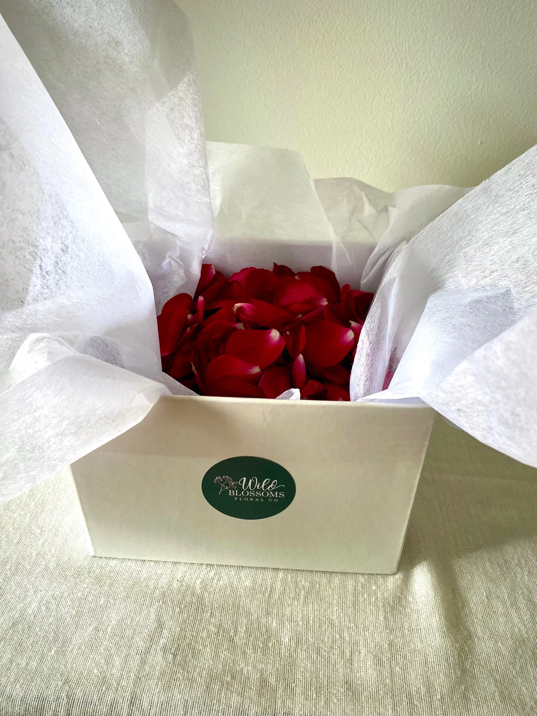 606FC248-A9B3-4345-BB65-EDF205B52508