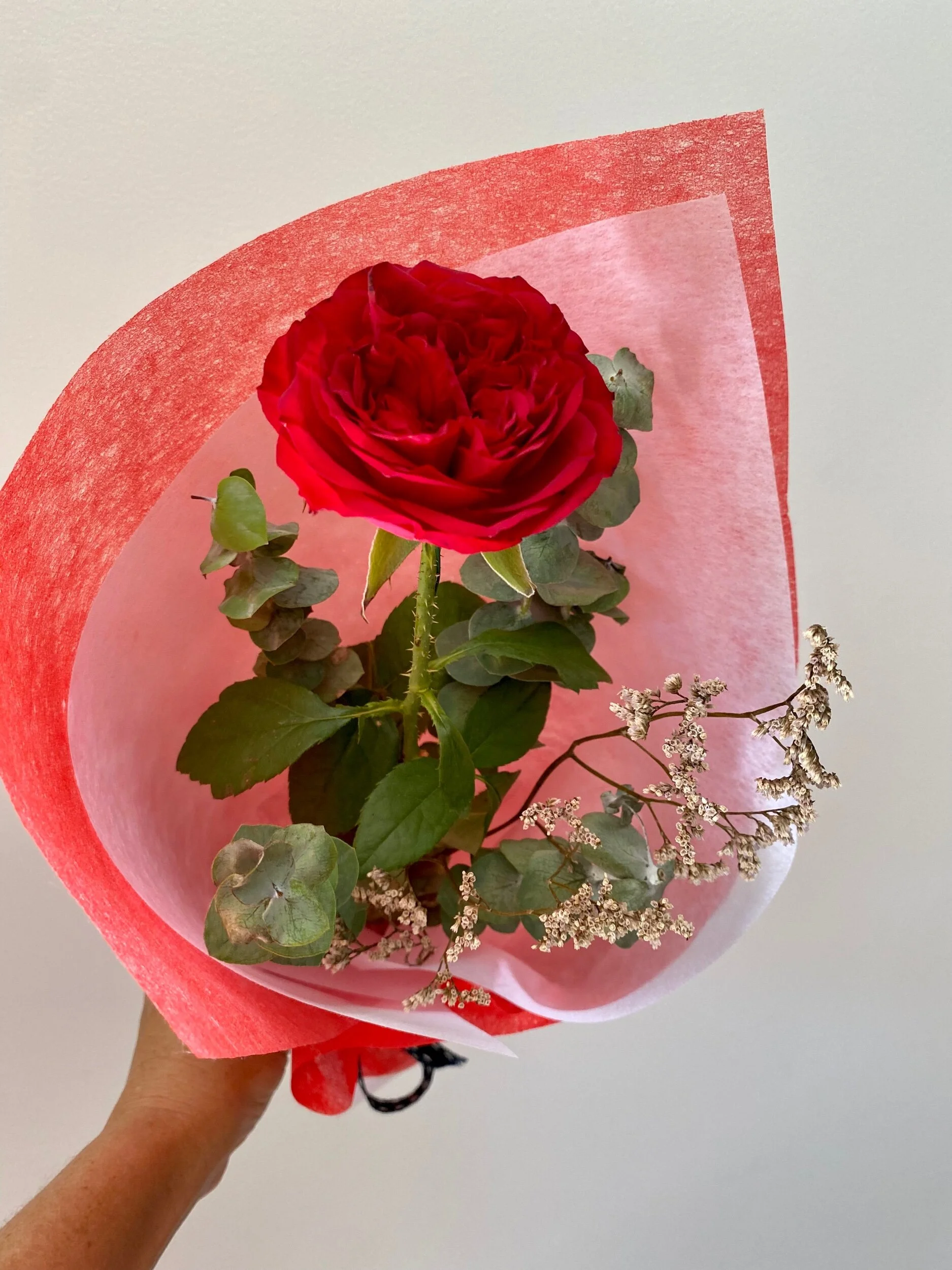 575F0BC1-7FC3-488D-A70B-D73CB5A80E12